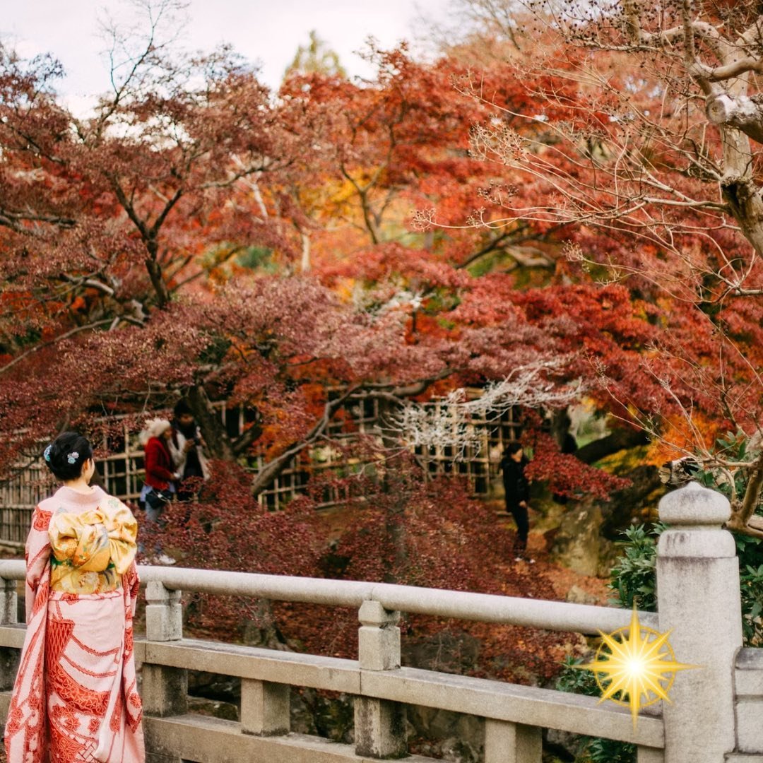 Get enchanted by the vibrant tapestry of autumn in Japan! 🇯🇵 🍁

Join us on JAPAN: Boutique Autumn Small Group Tour - 14 days as soon as 27th Oct - 9th Nov 2024 

Begin your adventure in Tokyo, where modernity intertwines with tradition, before wit