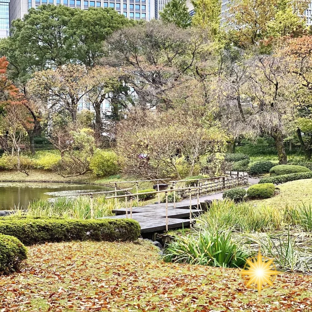 Japan in Autumn – A Journey Through Colour & Culture! ๐ฏ๐ต๐ 
Tour Dates:
9th - 22nd November 2025 
From the bustling streets of Tokyo to the serene charm of Shirakawa-go, experience Japan like never before. Discover the golden hues of Mt