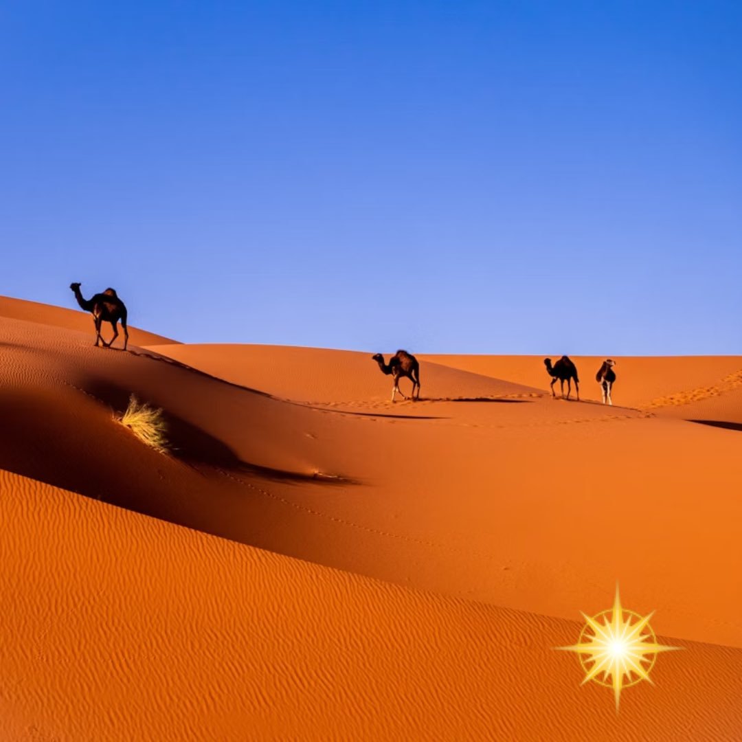 Mesmerizing Morocco! 🇲🇦

Tour Dates:
ApriMay - 2026 18th 
Sept - 1st Oct 2026 
2nd - 15th October 2026

Discover the magic of Morocco on our 14-day Boutique Small Group Cultural &amp; Foodie Tour! From imperial cities and UNESCO heritage sites to b