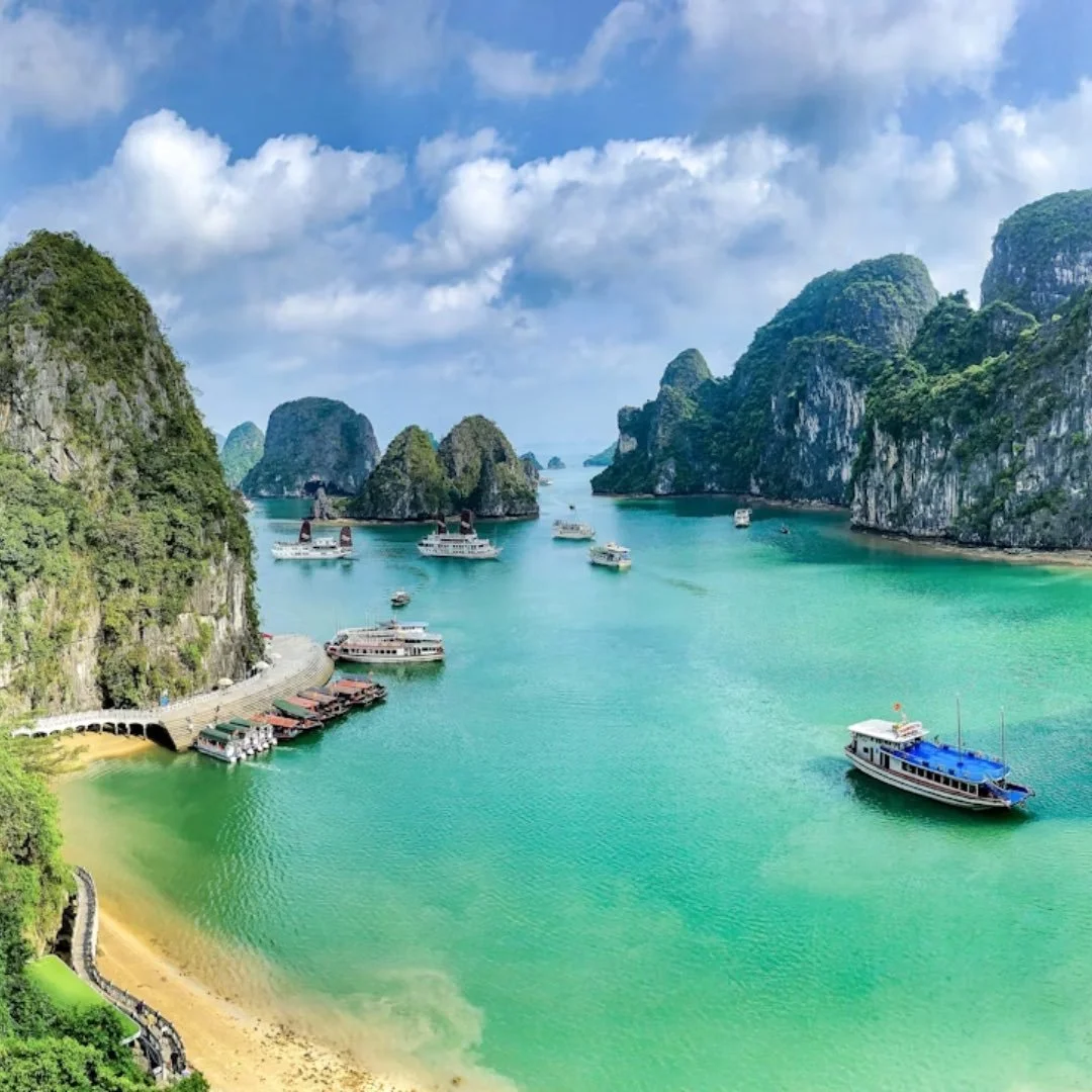 Vietnam, From Market To Table! 🇻🇳

Taste your way through Vietnam on this 14-day boutique small group cultural, foodie &amp; handicraft tour 

From the buzzing streets of Ho Chi Minh City to the lantern-lit charm of Hoi An, the royal flavours of Hu