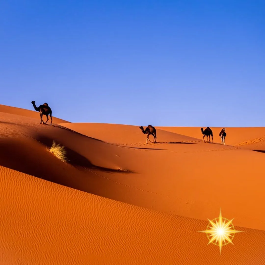 Mesmerizing Morocco Awaits You! 🇲🇦

Experience the land where ancient traditions, vibrant flavors, and breathtaking landscapes come together in the most magical way. From the imperial cities and UNESCO World Heritage sites to majestic palaces, colo