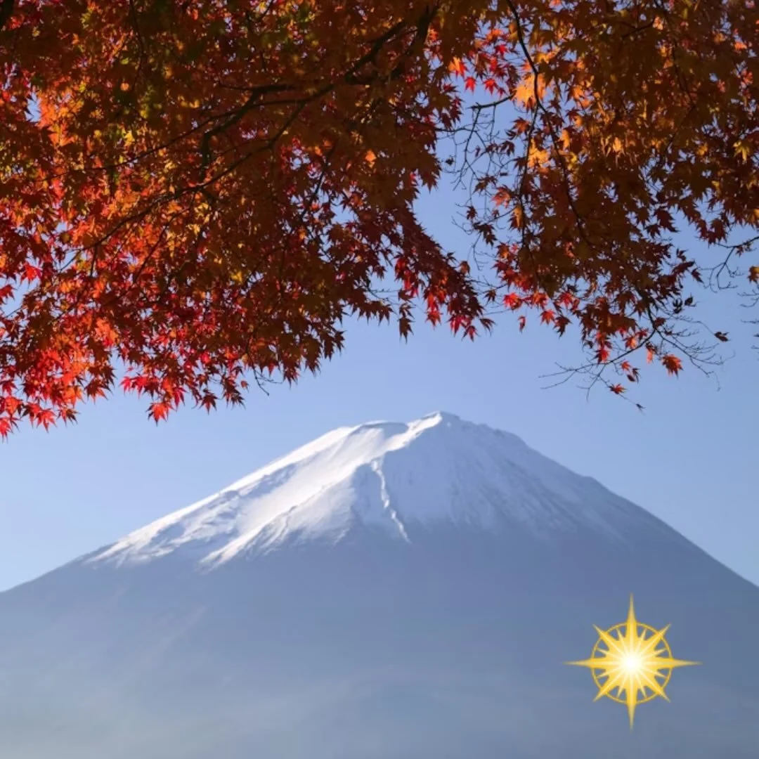 Japan in autumn isn&rsquo;t just a trip, it&rsquo;s a memory that stays with you forever! 🍁🇯🇵 

Imagine watching fiery maple leaves drift beside ancient temples in Kyoto, standing before Mt. Fuji wrapped in gold and crimson, wandering through the 