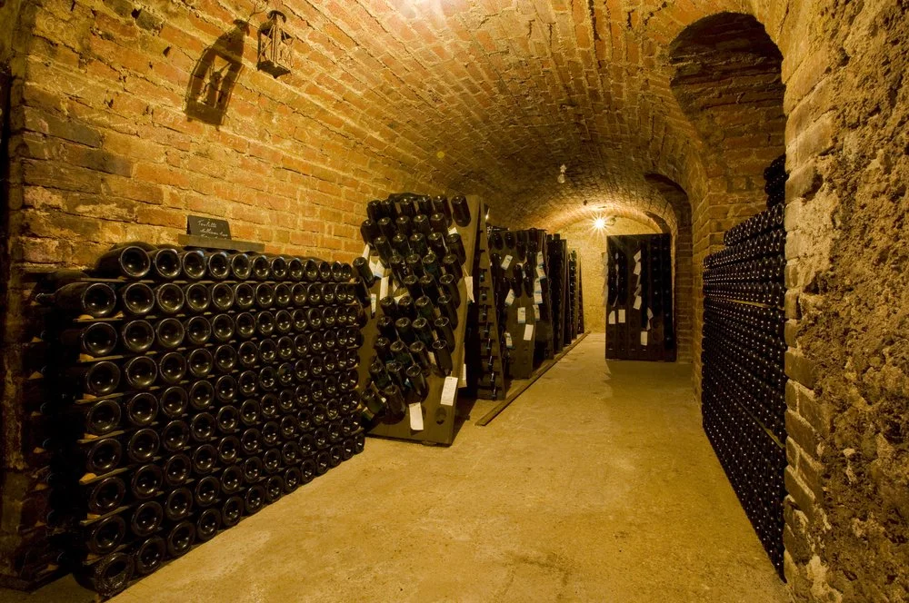 BT&T champagne_cellar_epernay.jpg