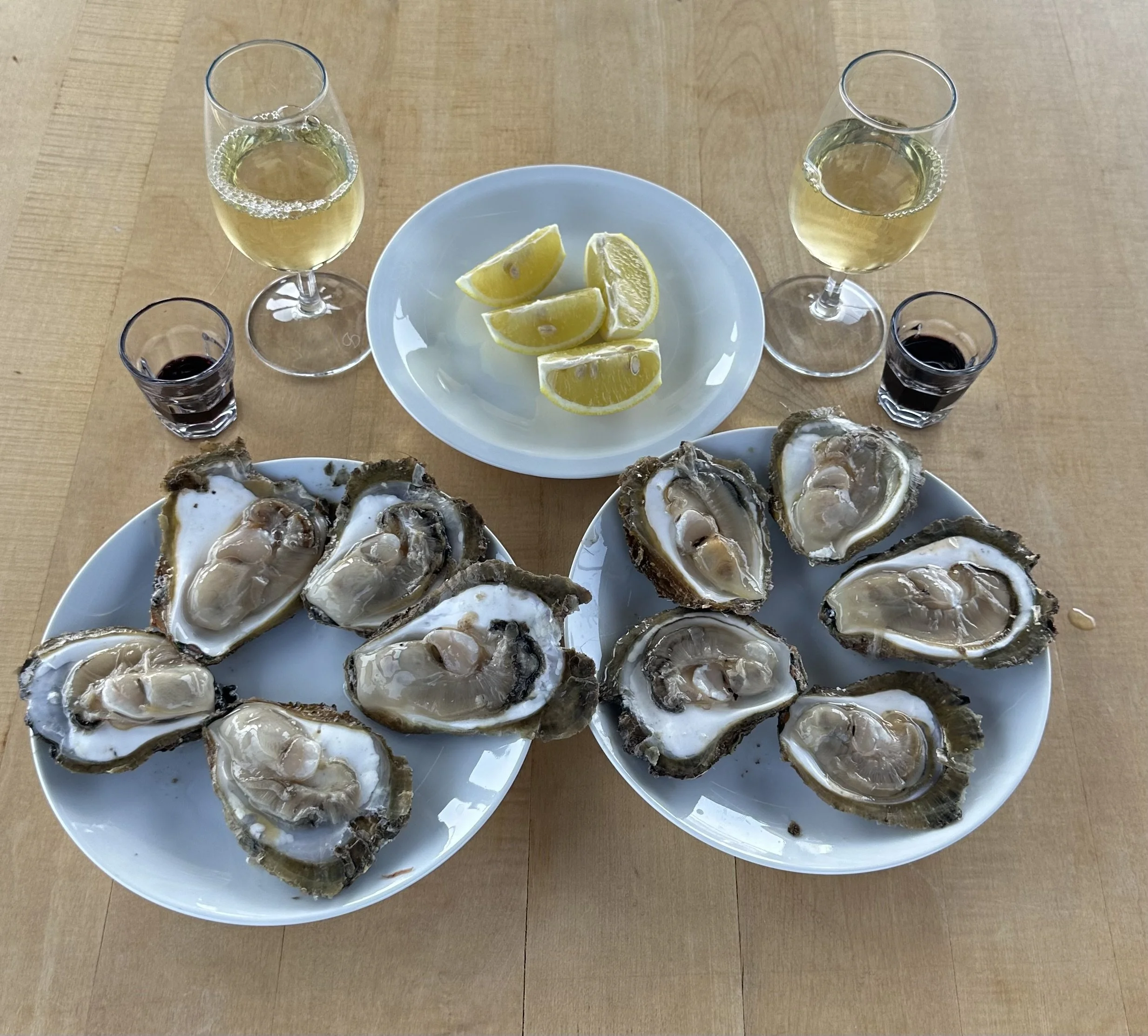Boutique Tours & Travel_Croatia_Oysters .jpeg