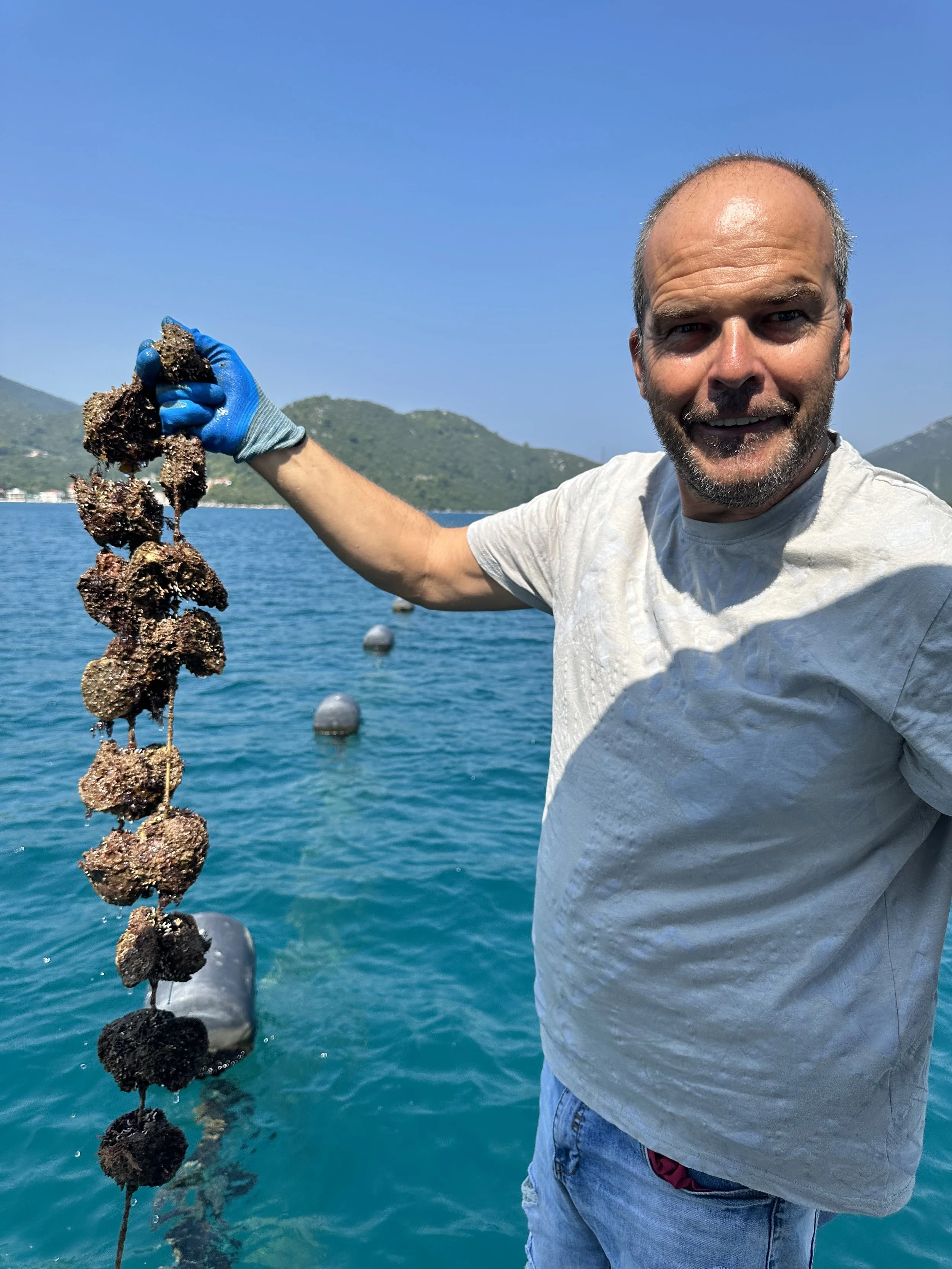 Boutique Tours & Travel_Croatia_Oyster_Farm.jpeg