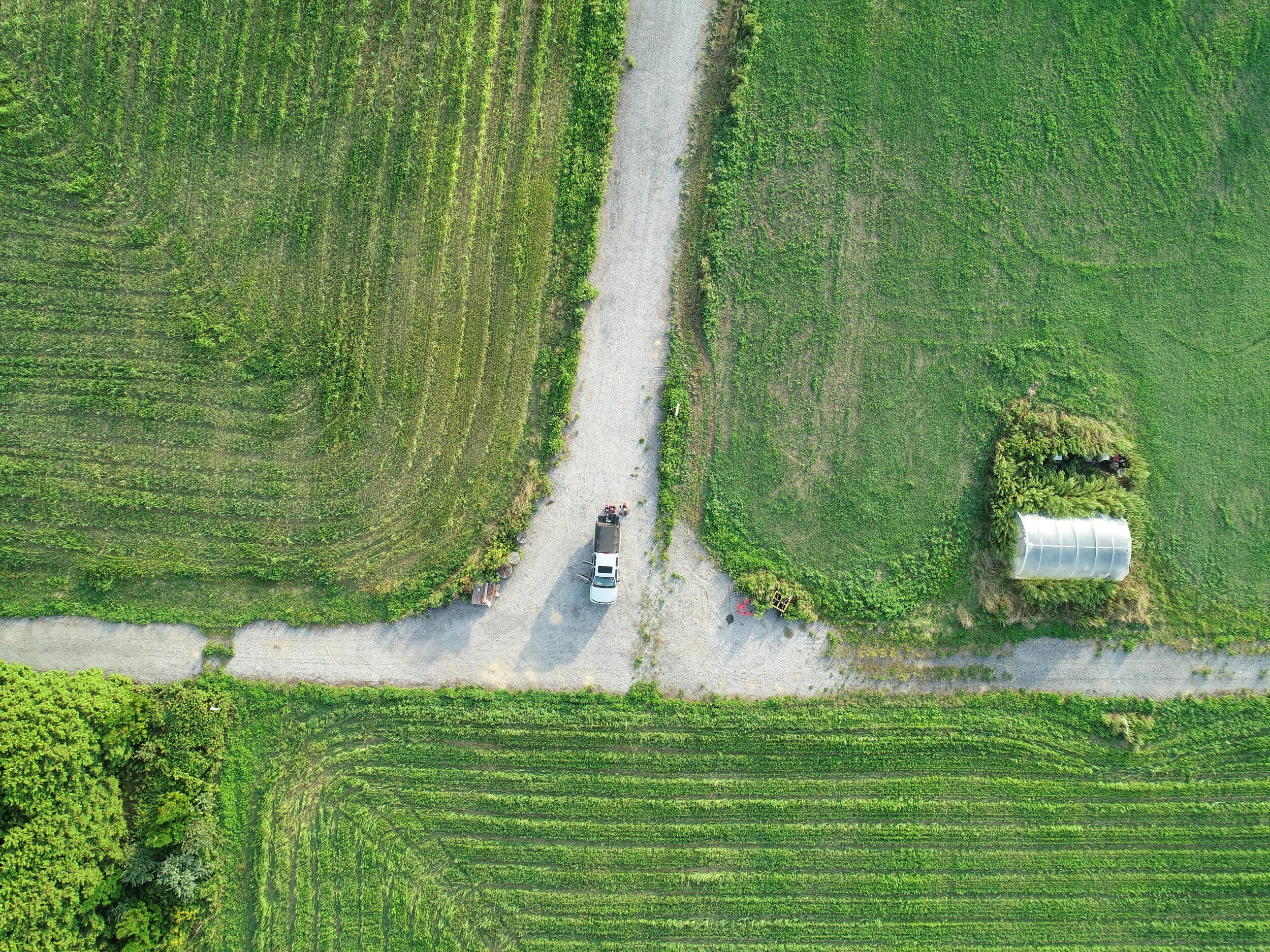 Ryan Lertora - 3 Truck phtoto.JPG