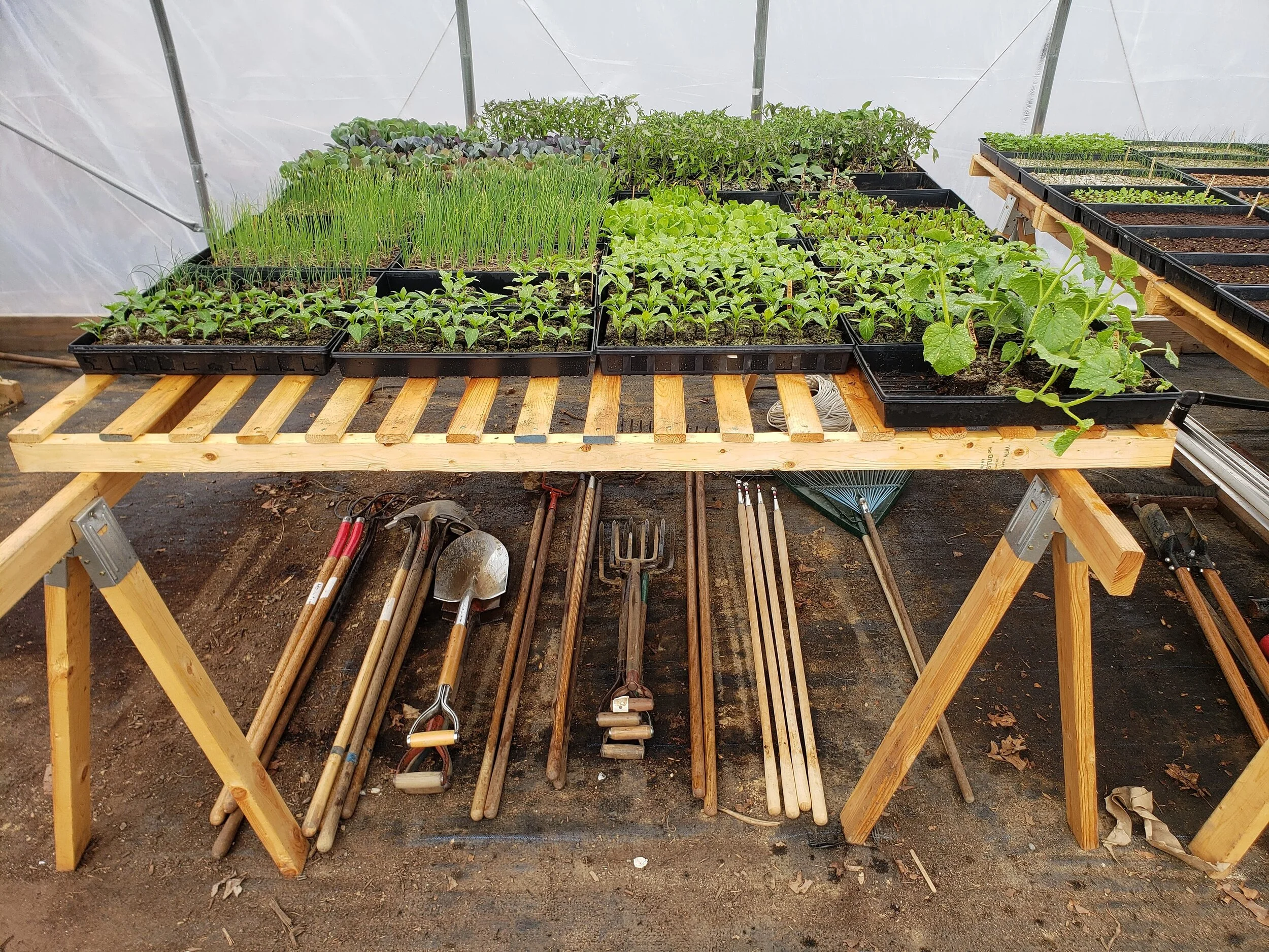 Ryan Lertora - 9 Greenhouse tools (1).jpg