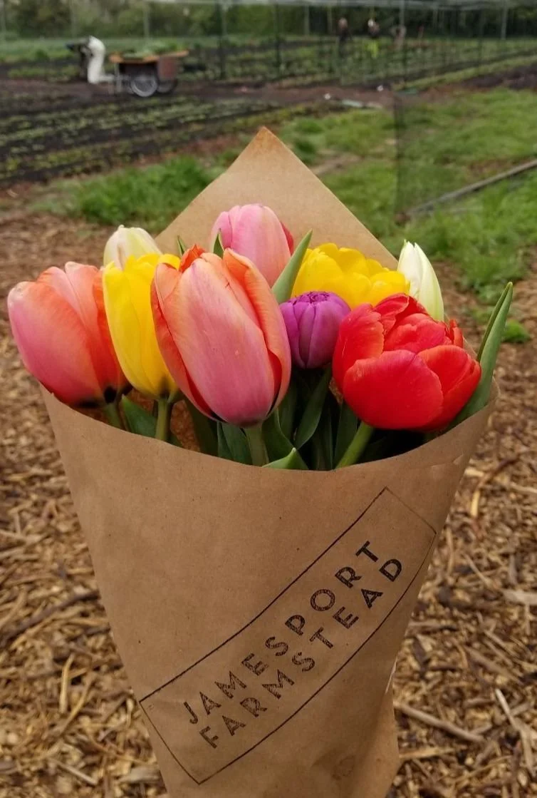 Products — Jamesport Farmstead