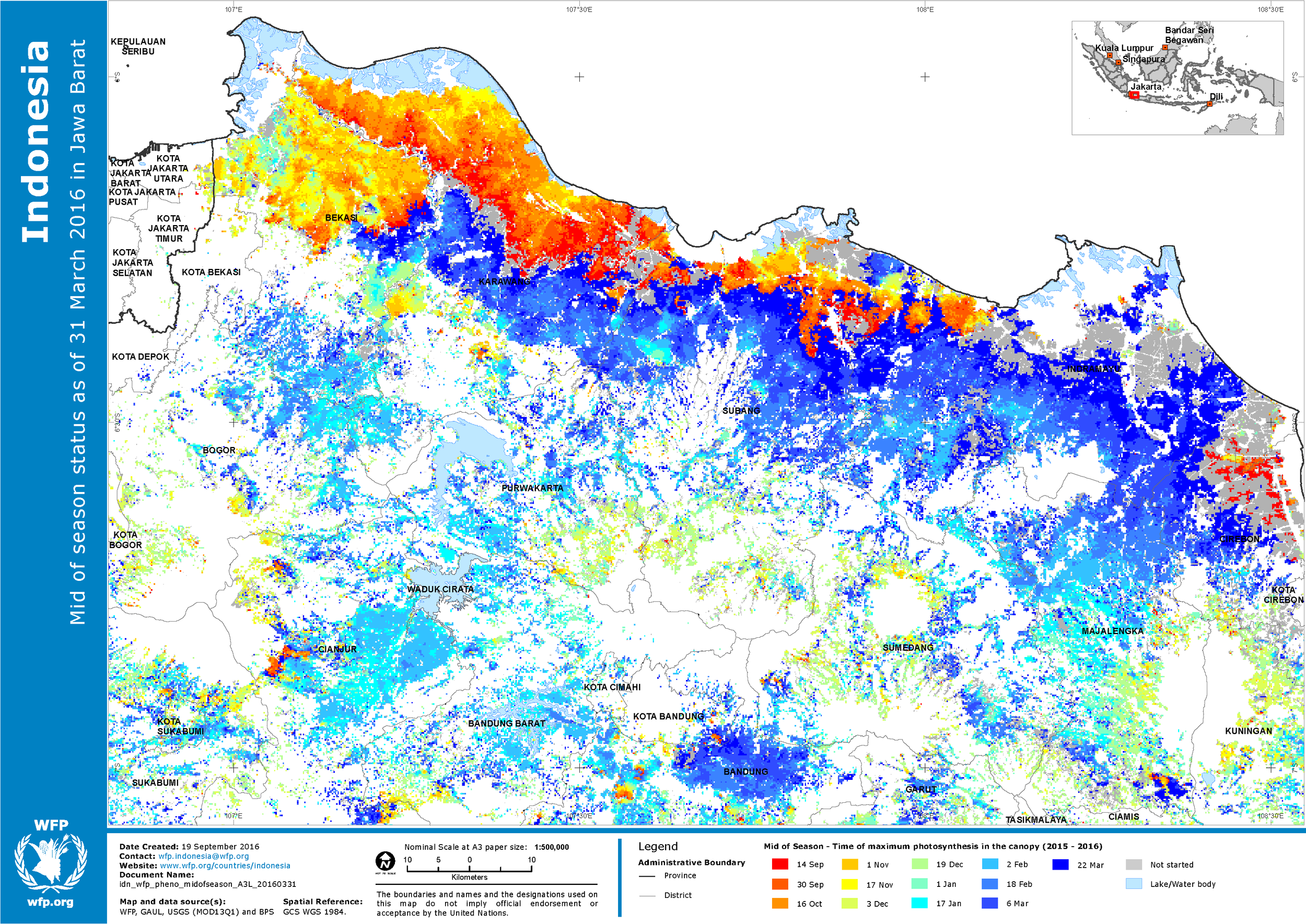 idn_wfp_pheno_midofseason_A3L_20160331.png