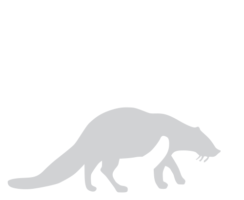 CVET Wildlife Veterinary Services
