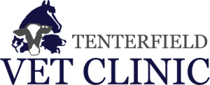 Tenterfield Veterinary Clinic