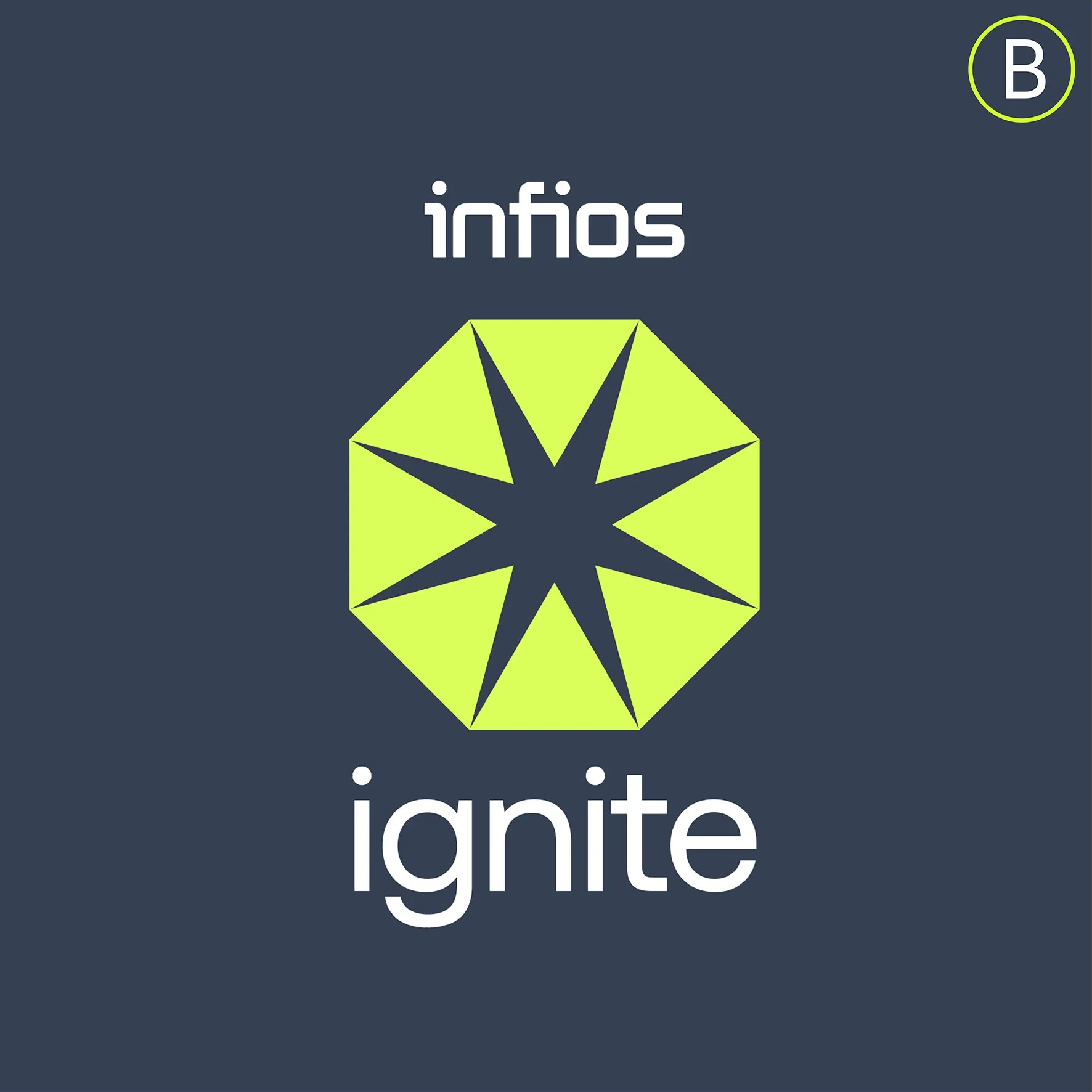 Infios tiles with A+B2.jpg