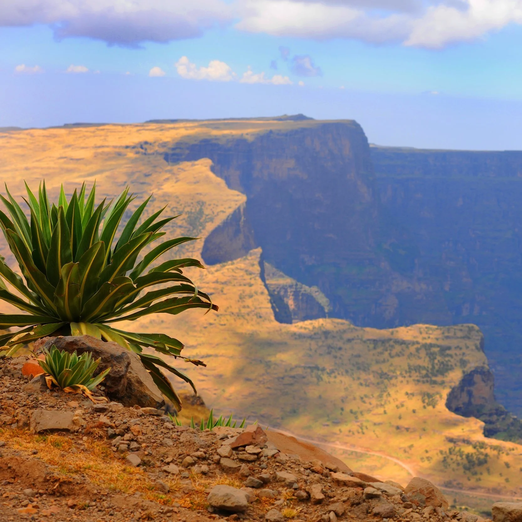 simien7.jpg