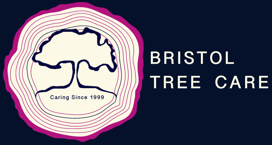 Bristol Tree Care
