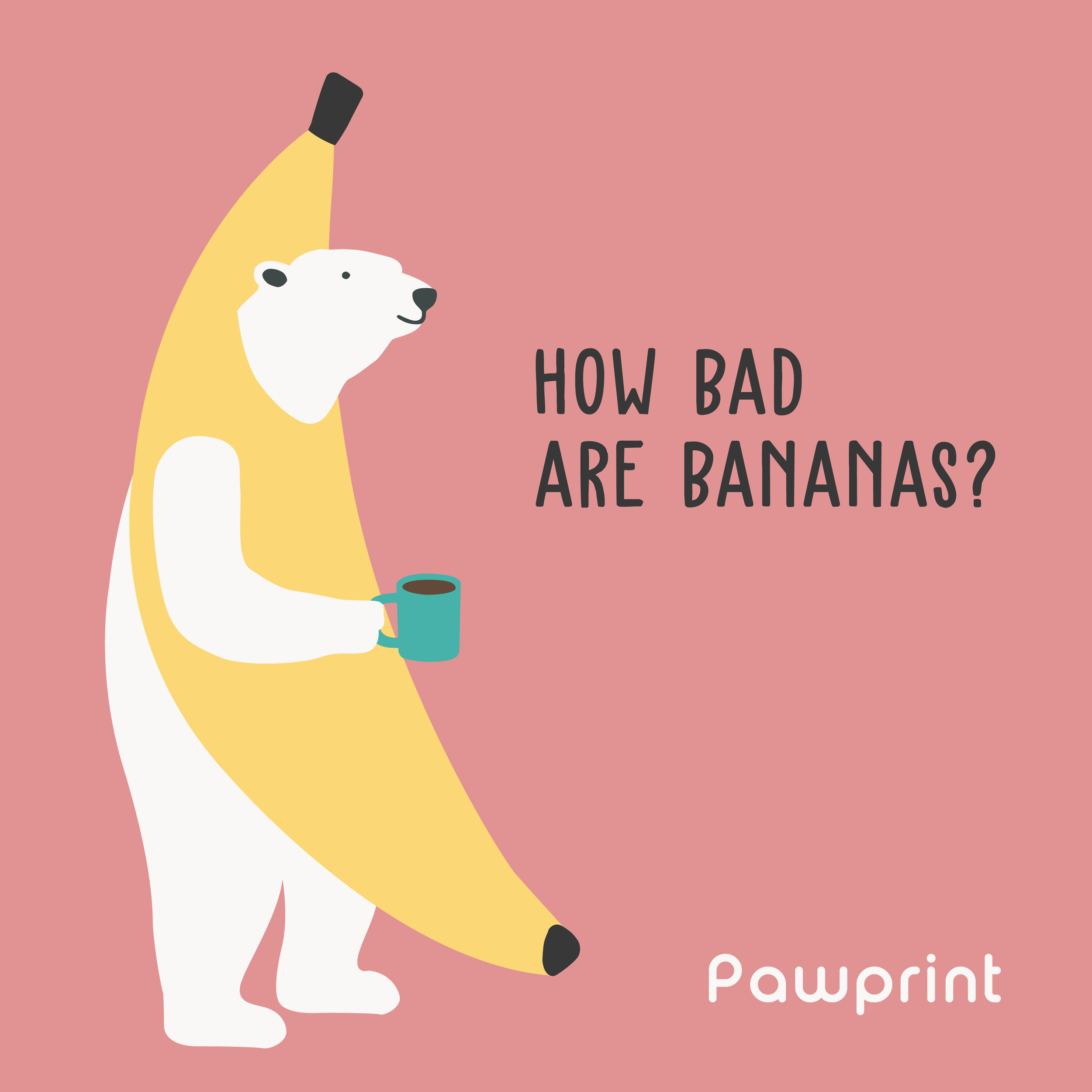 Bjorn Bananas.png