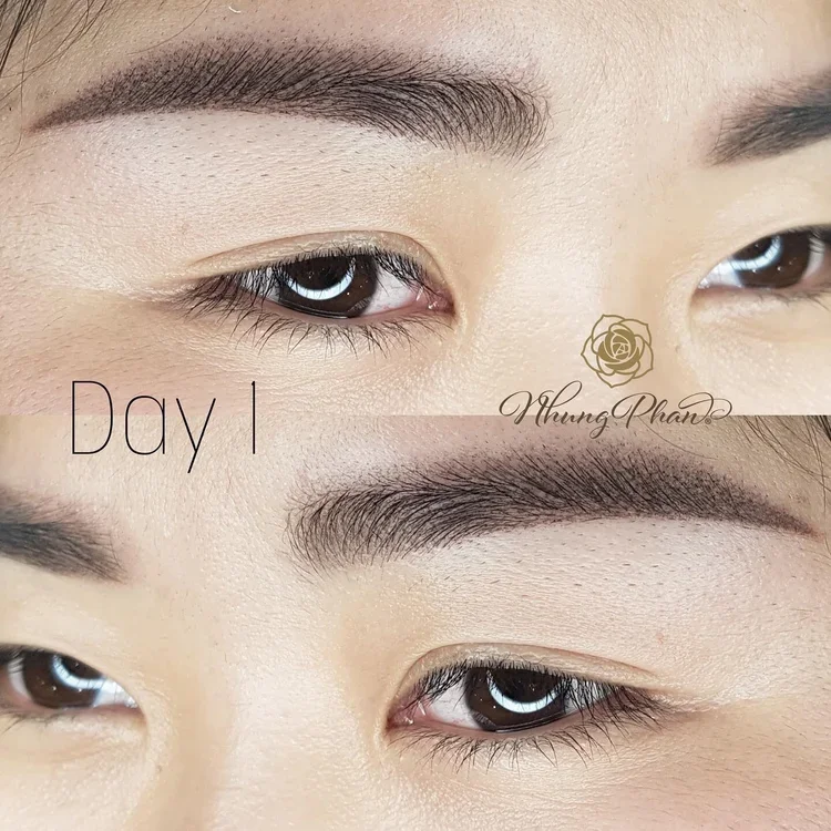 Brows