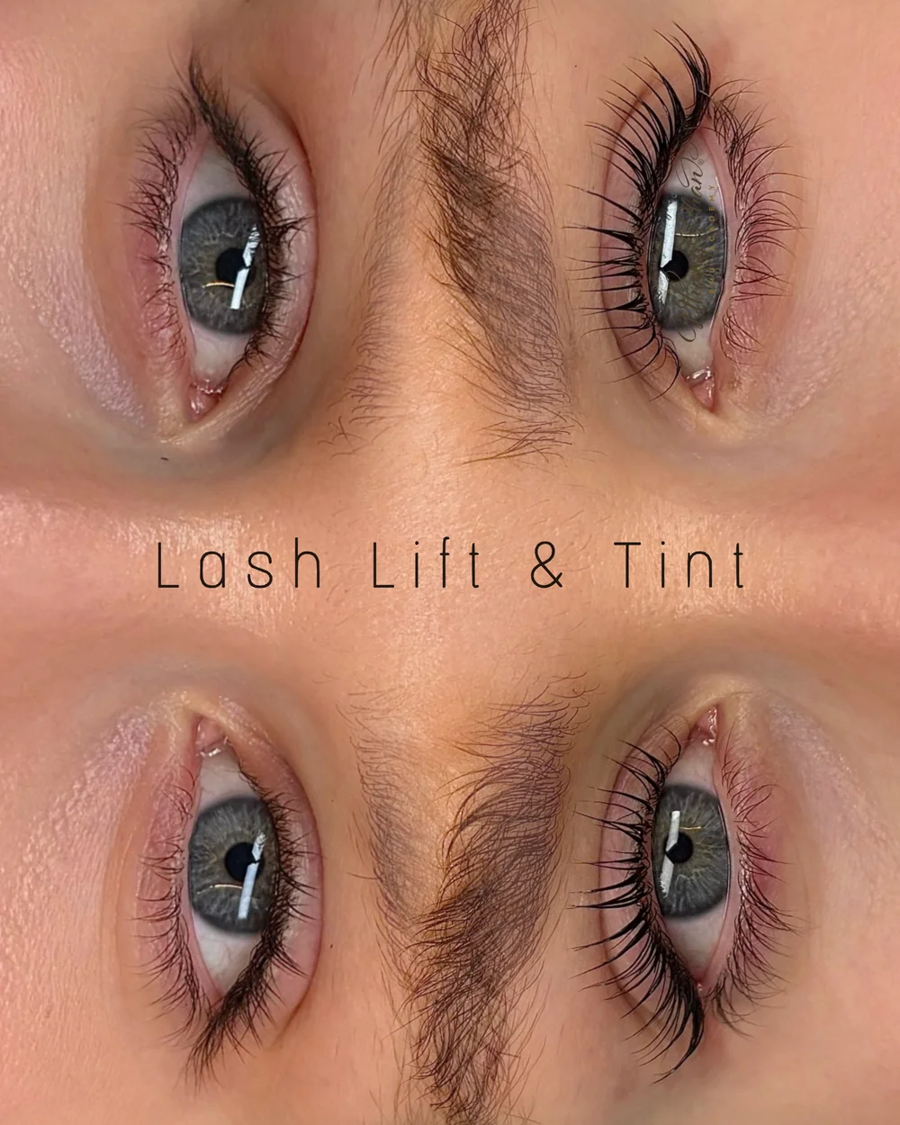 Lash Lift
