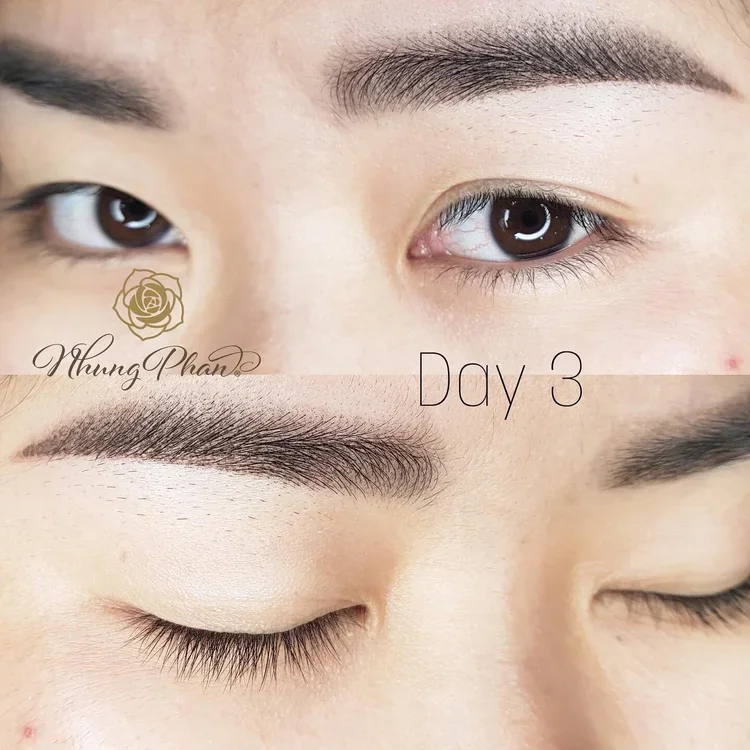 Brows