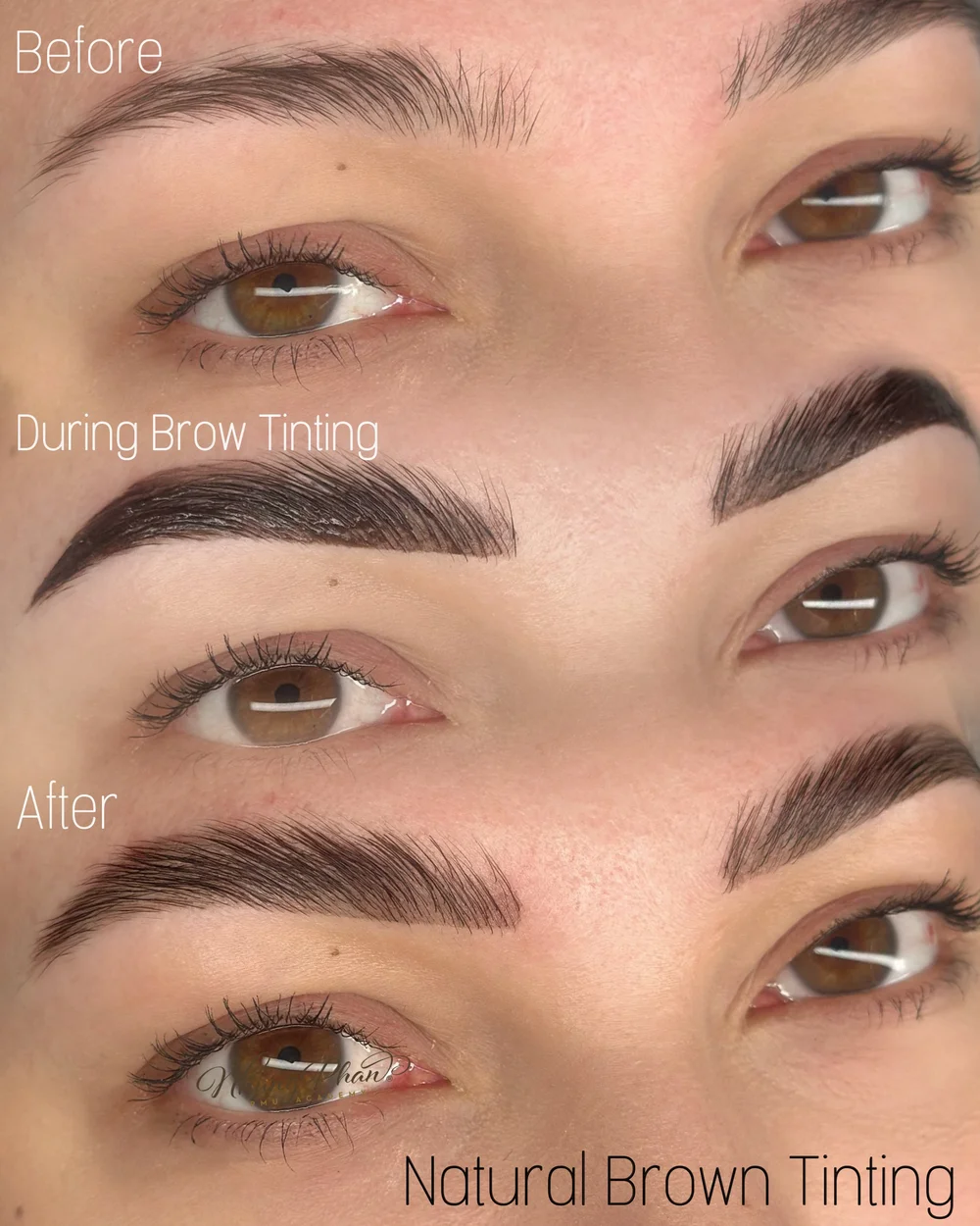 Brows