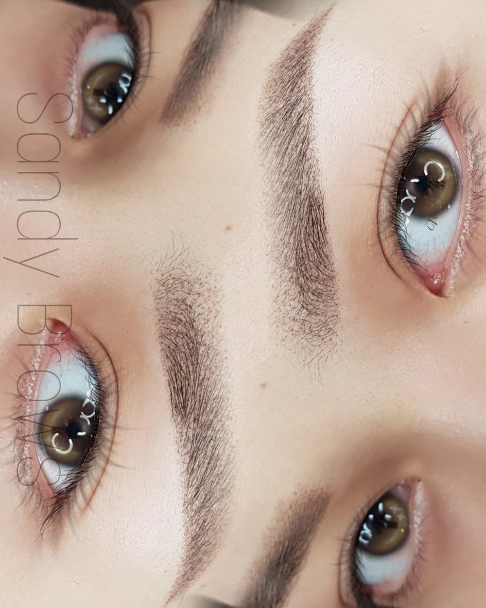 Sandy Brows®