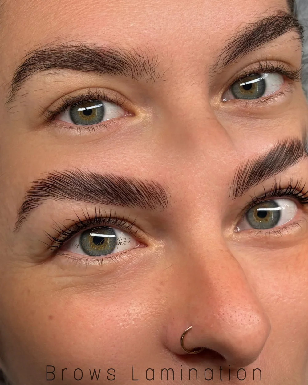 Brows