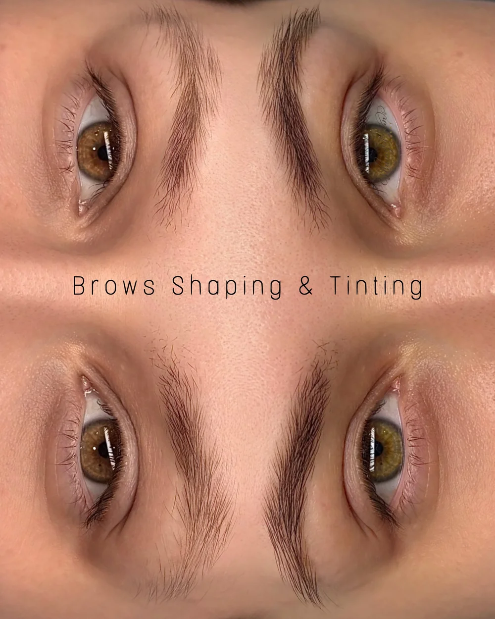 Brows
