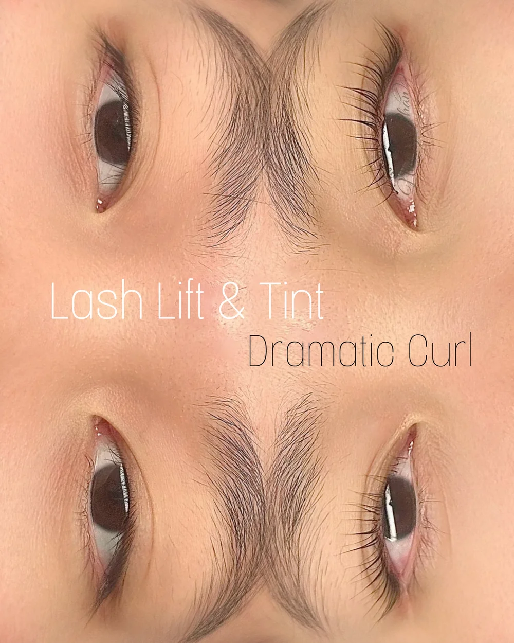Lash Lift