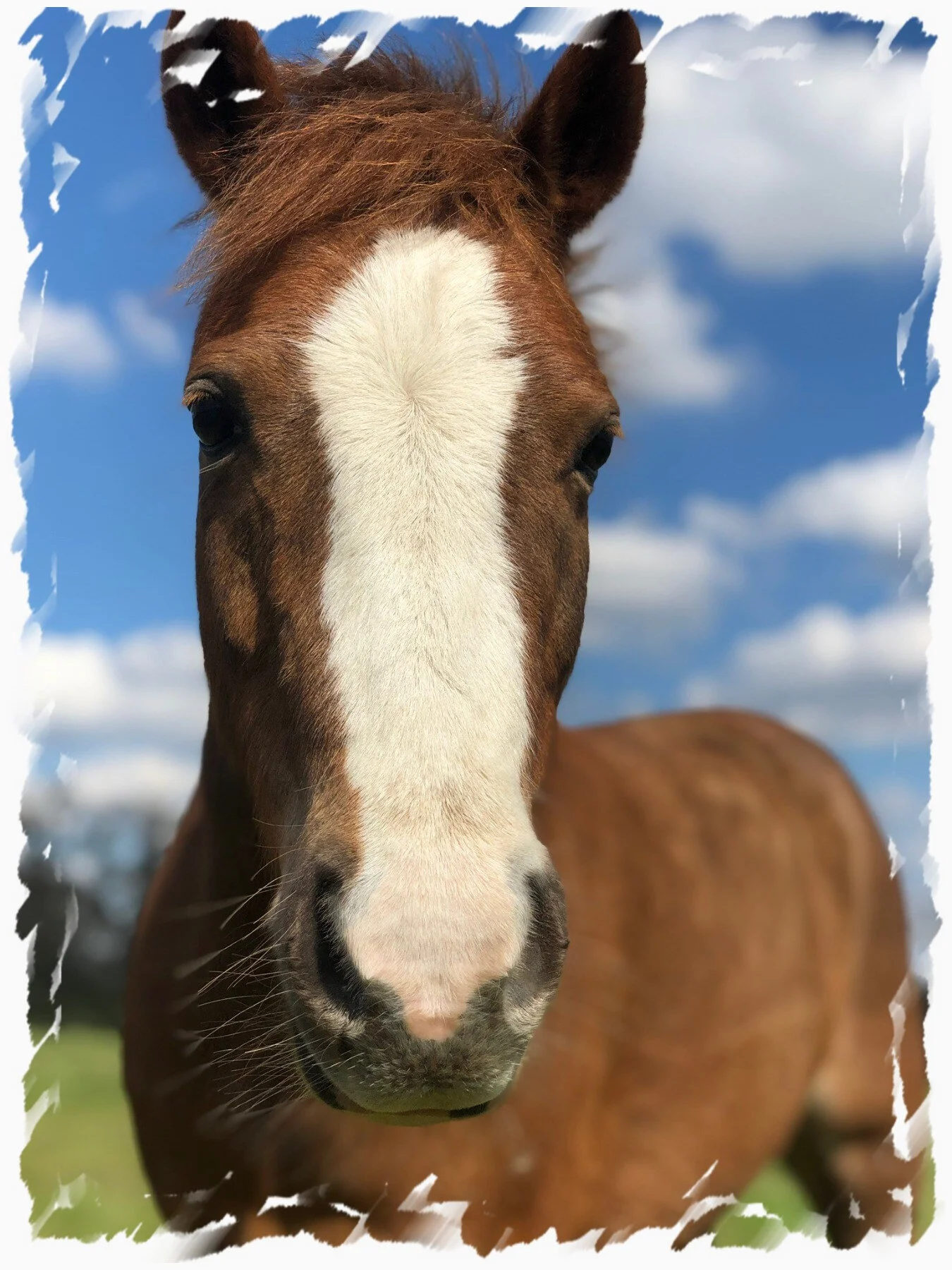 Horse Riding London Riding Lessons in Hyde Park, Central London Hyde Park Stables