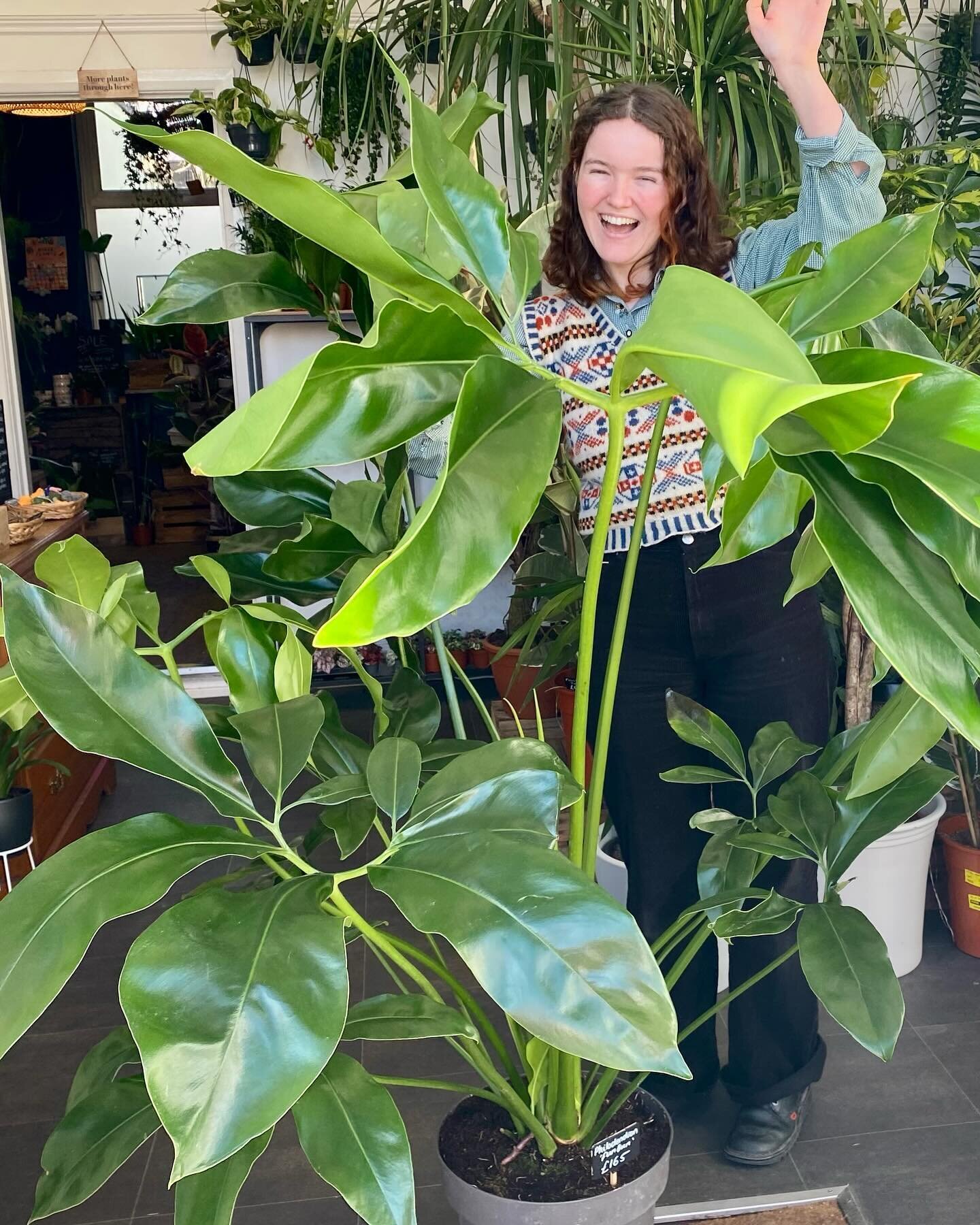 Such mixed feelings today. Our amazing Pearl is saying goodbye to head off on her travels to Australia but we are soooo excited for her. She has been such a big part of Fancy Plants over the last two years. We will really miss her in the shop and we 