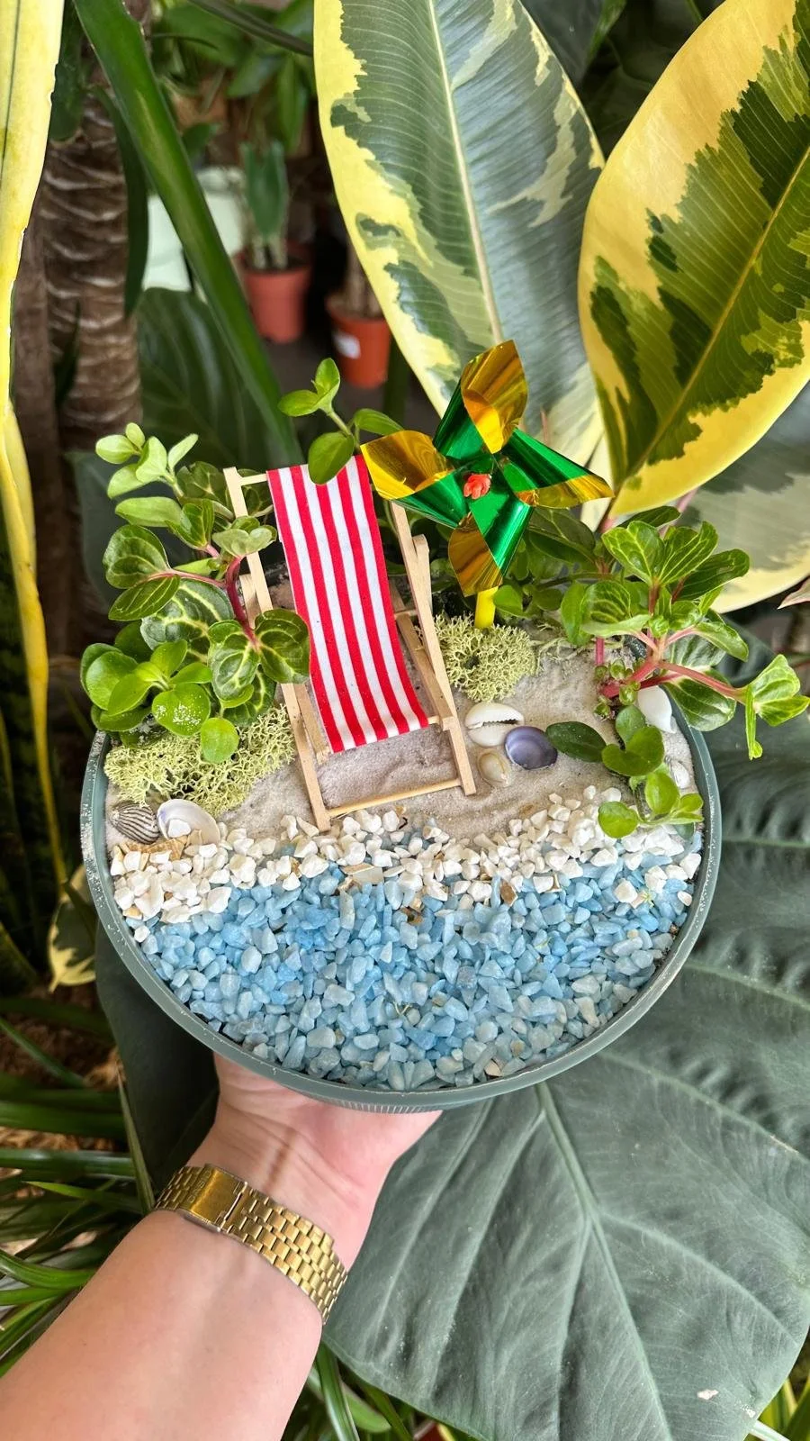 Kids Workshop: Create a Mini Seaside Garden