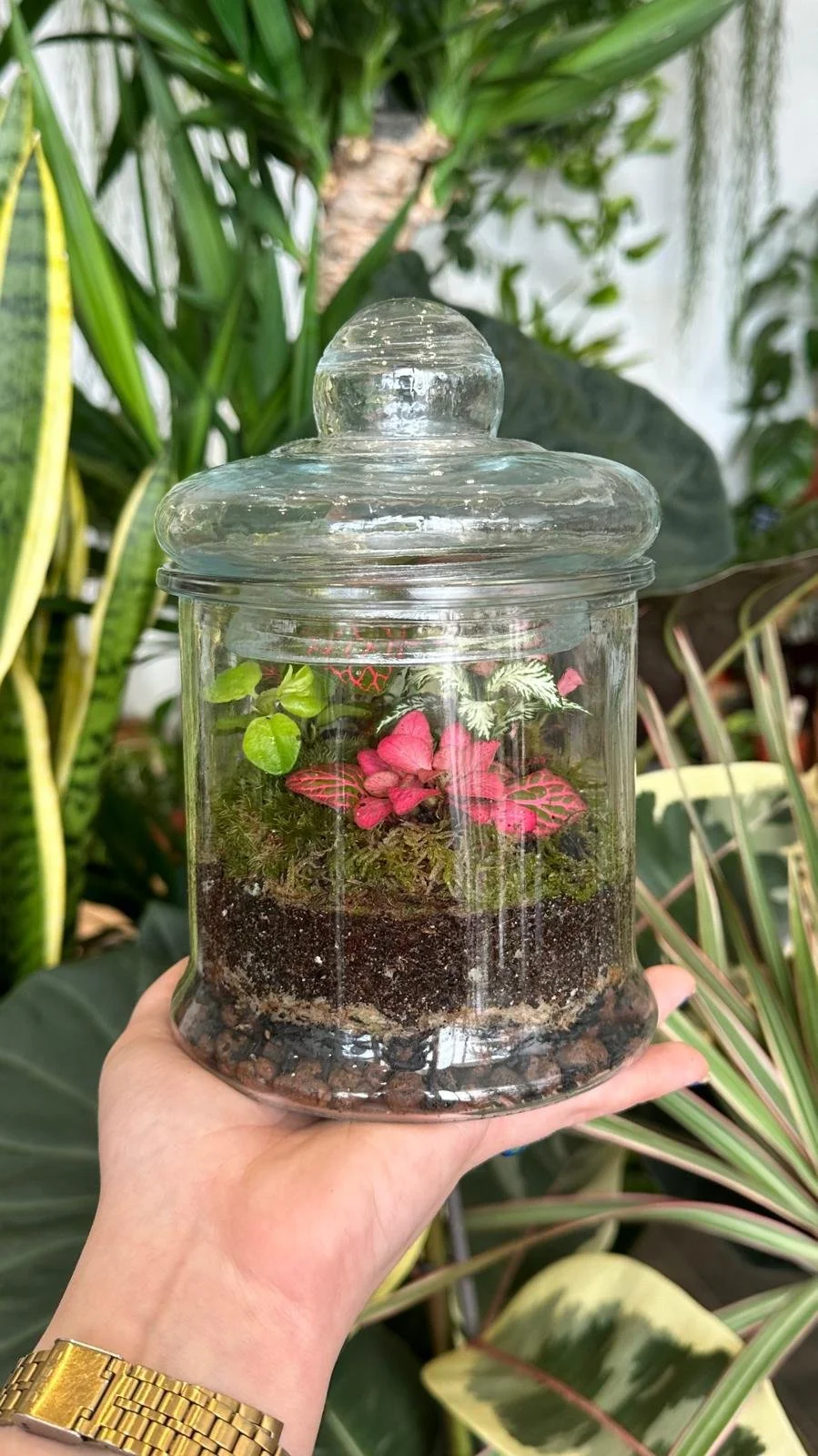 Kids Workshop: Mini Terrarium