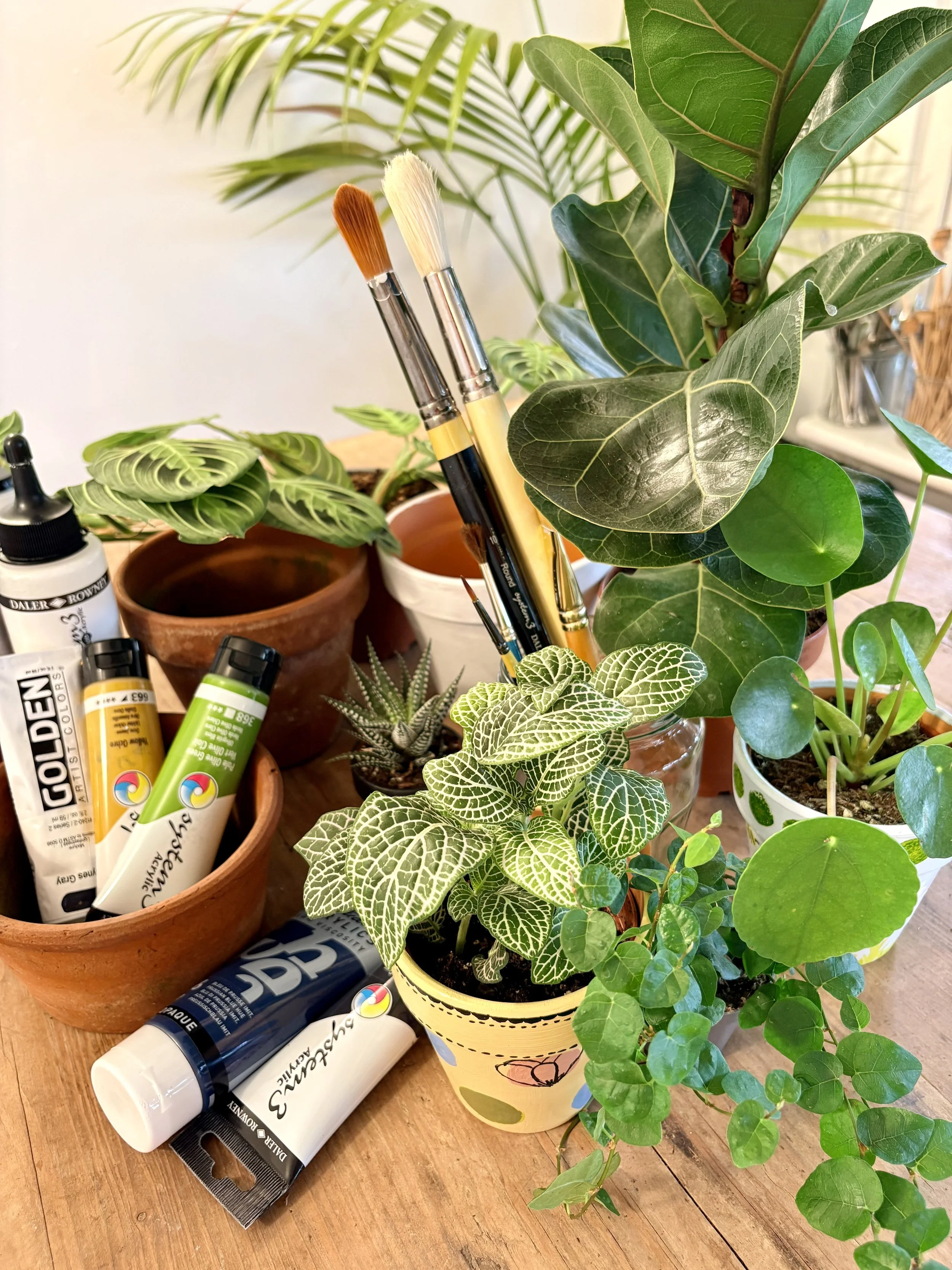Paint, Pot &amp; Plant Workshop