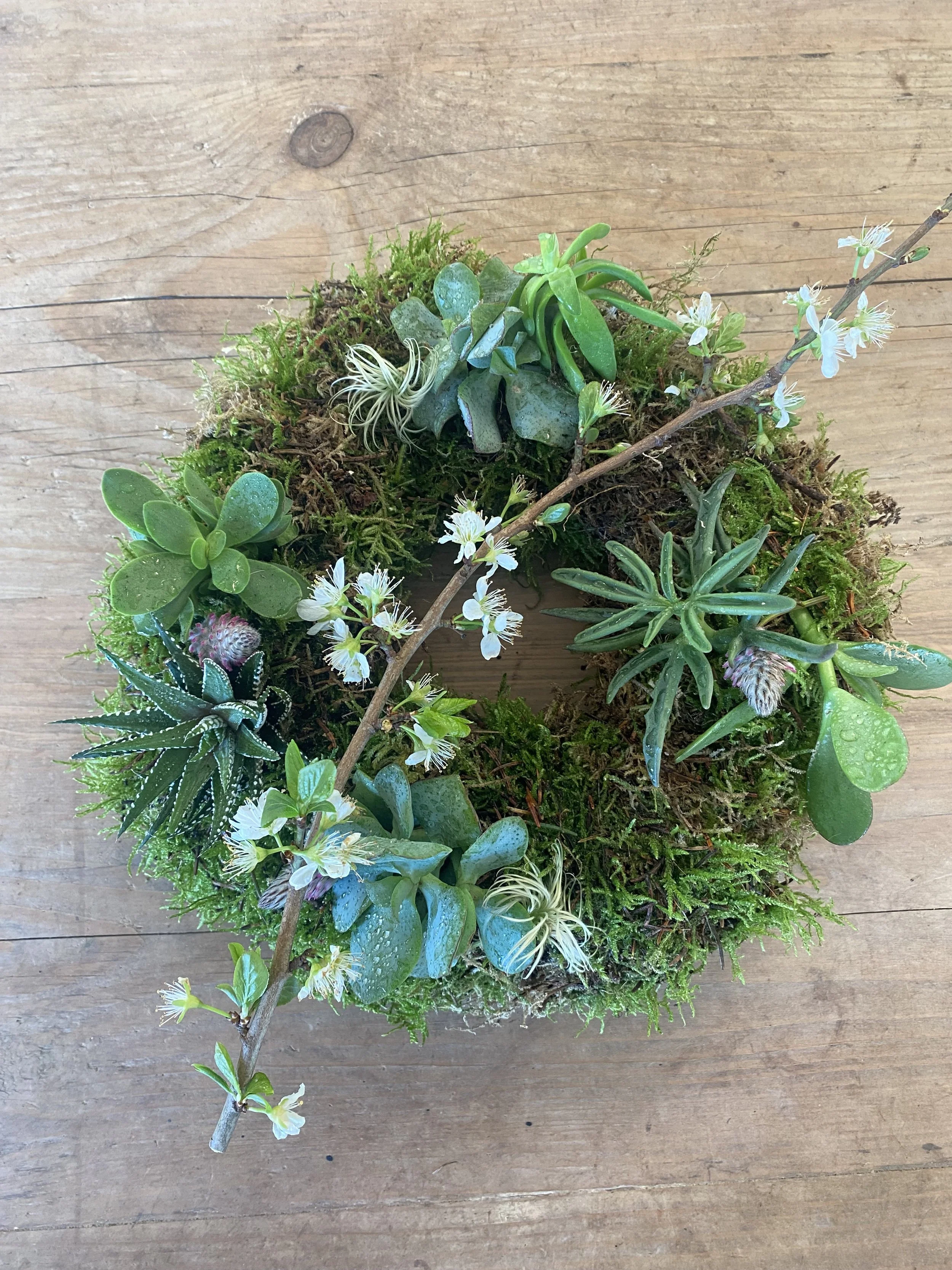 Living Succulent Wreath Workshop, Brislington