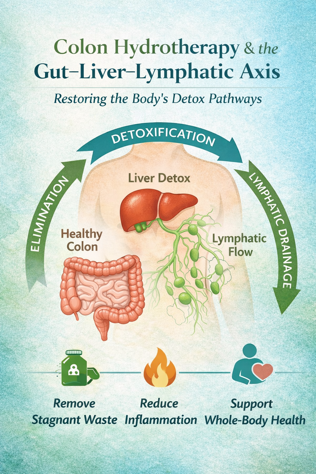 Colon Hydrotherapy &amp; the Gut–Liver–Lymphatic Axis