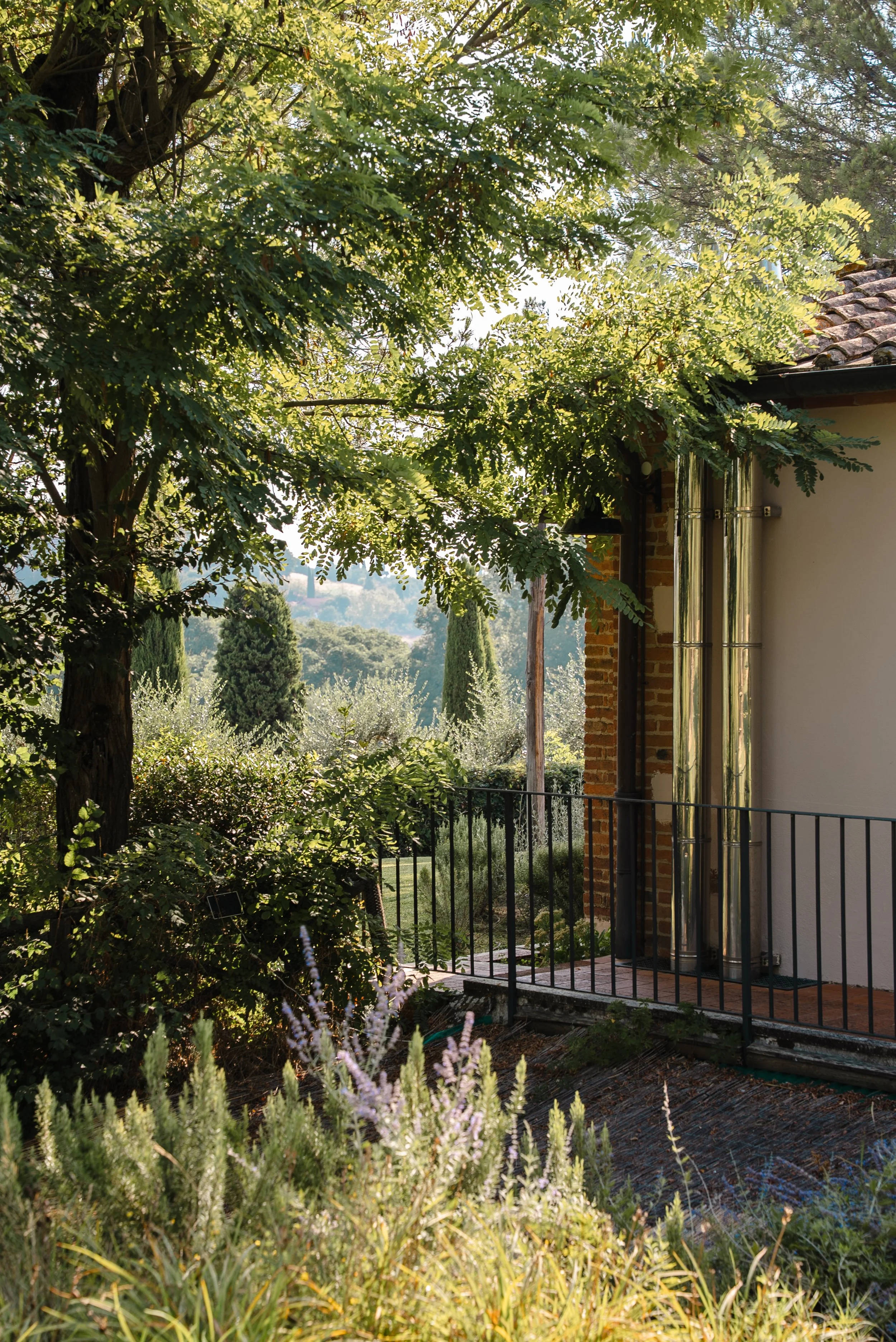 Borgo San VincenzoXUnderthewhitemoon_88.JPG