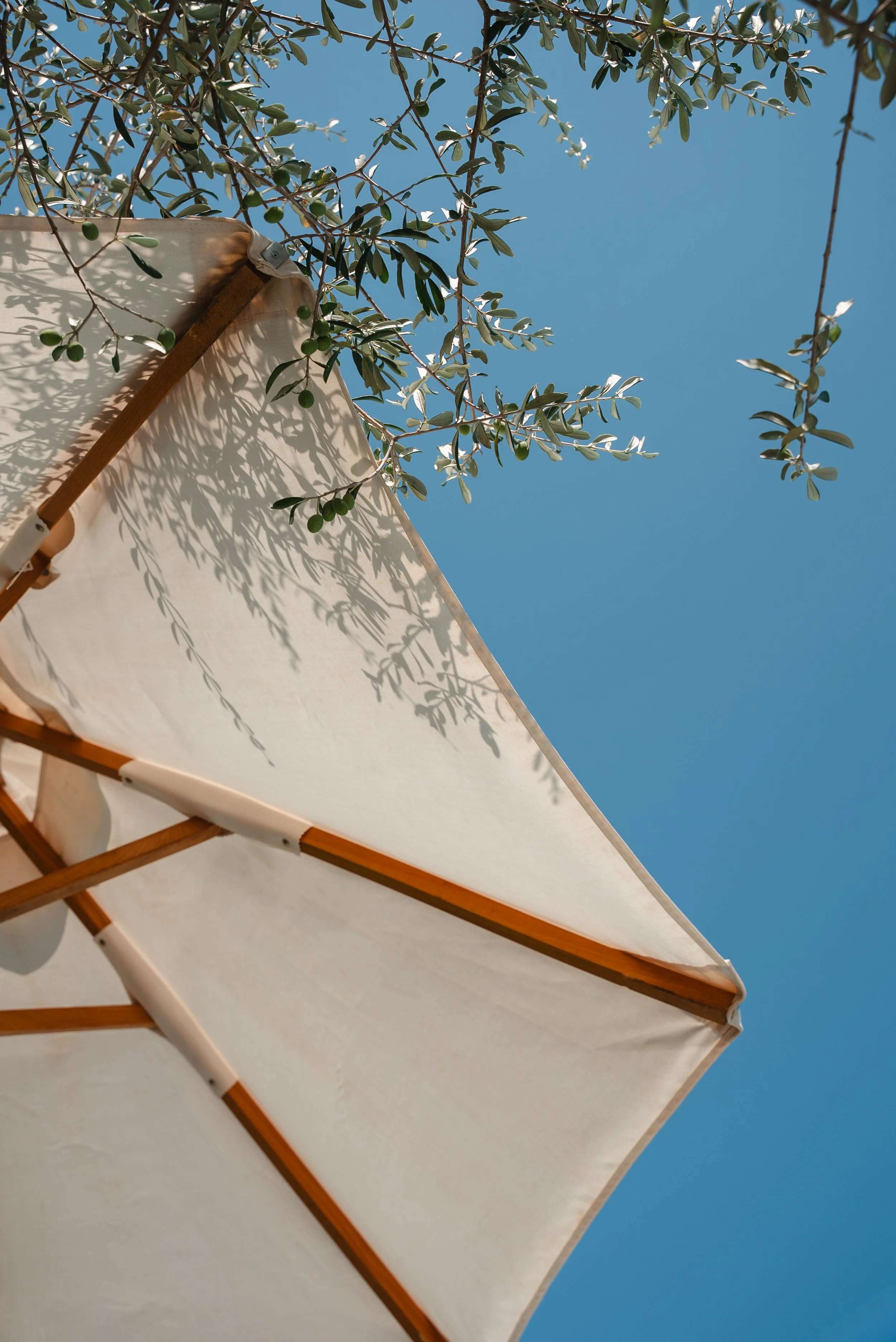 Borgo San VincenzoXUnderthewhitemoon_41.JPG