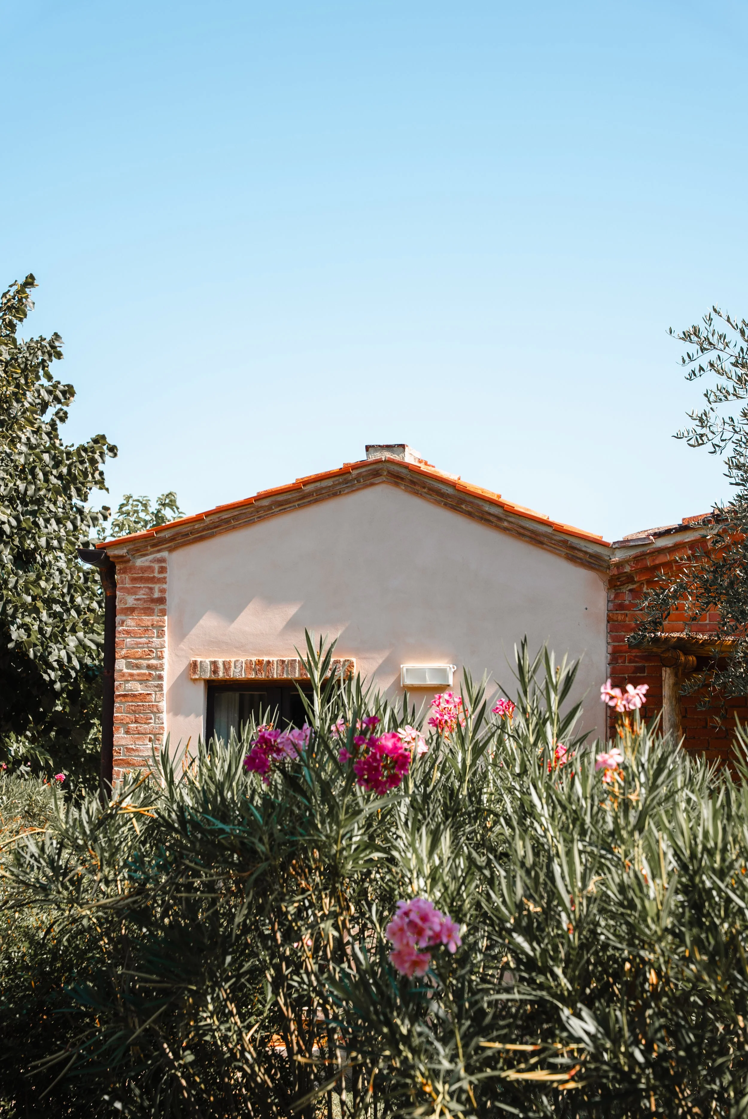 Borgo San VincenzoXUnderthewhitemoon_43.JPG