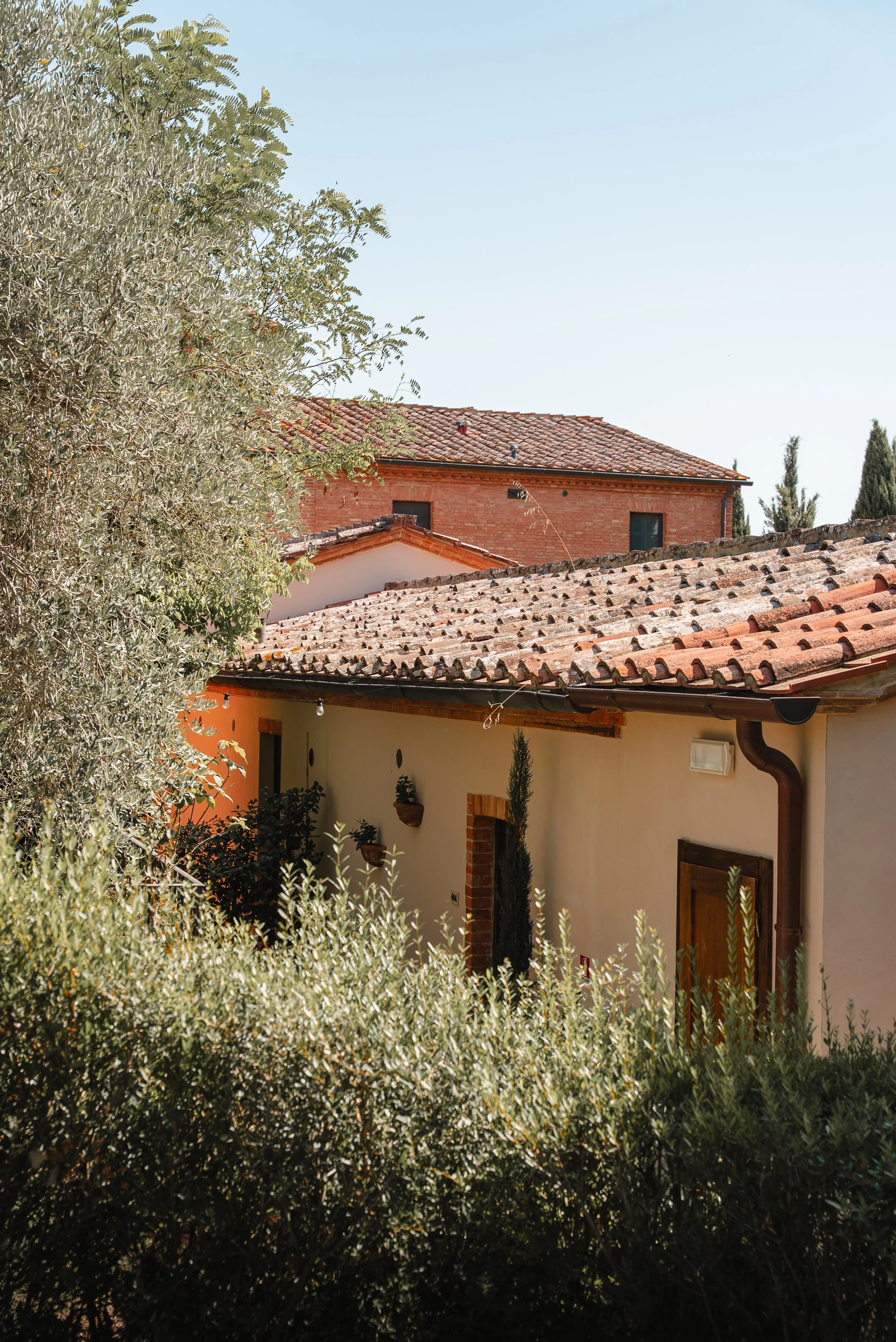 Borgo San VincenzoXUnderthewhitemoon_44.JPG