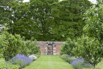 Gibside - Visitor Hub