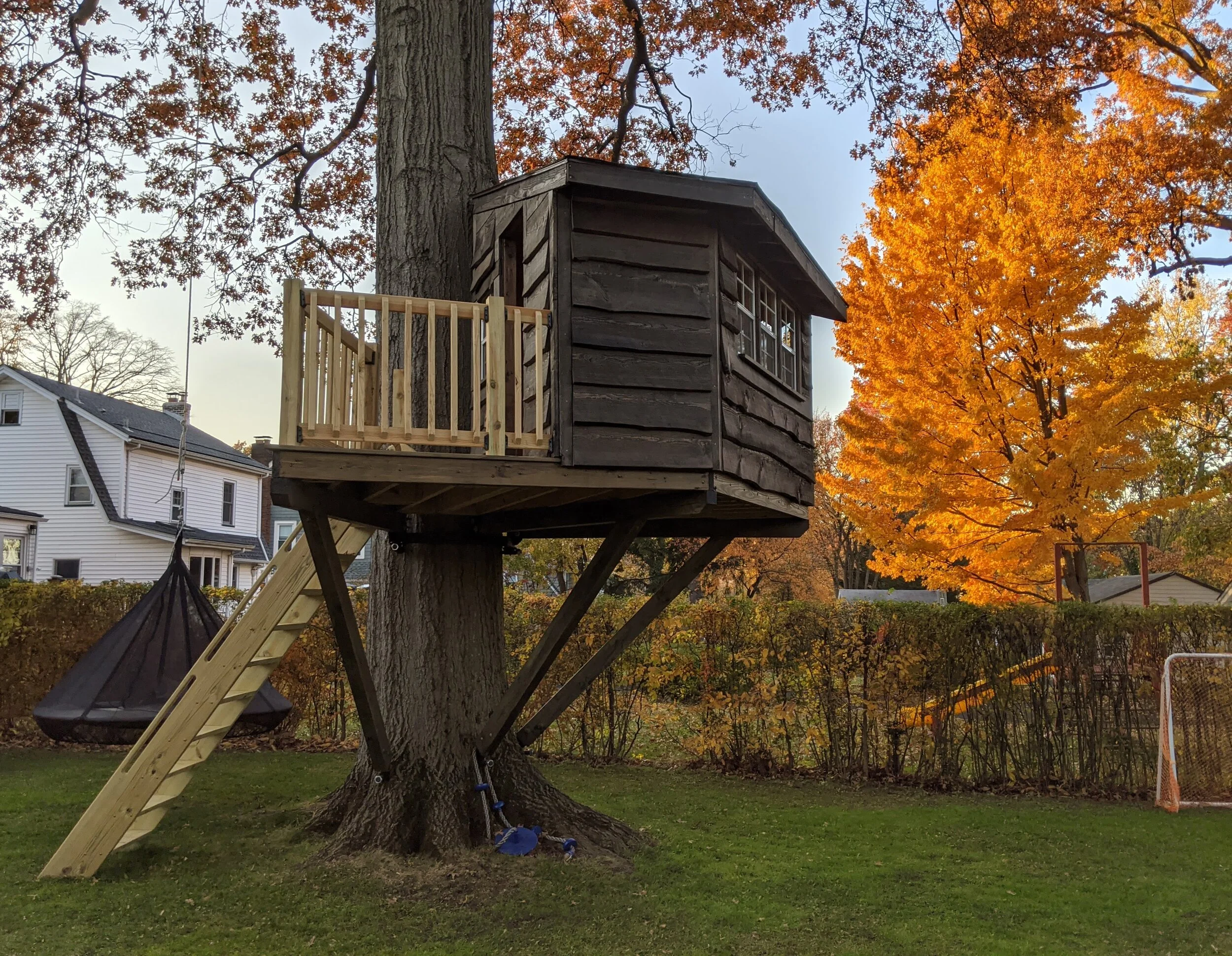 Offset Treehouse.jpeg