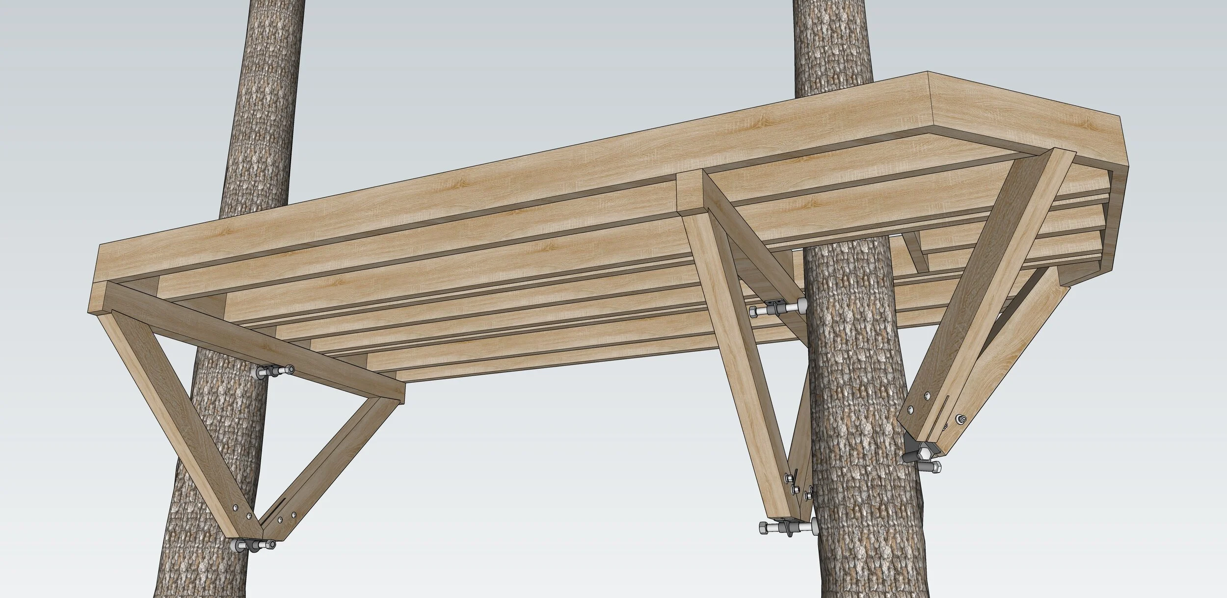 Platform - Below View.jpeg