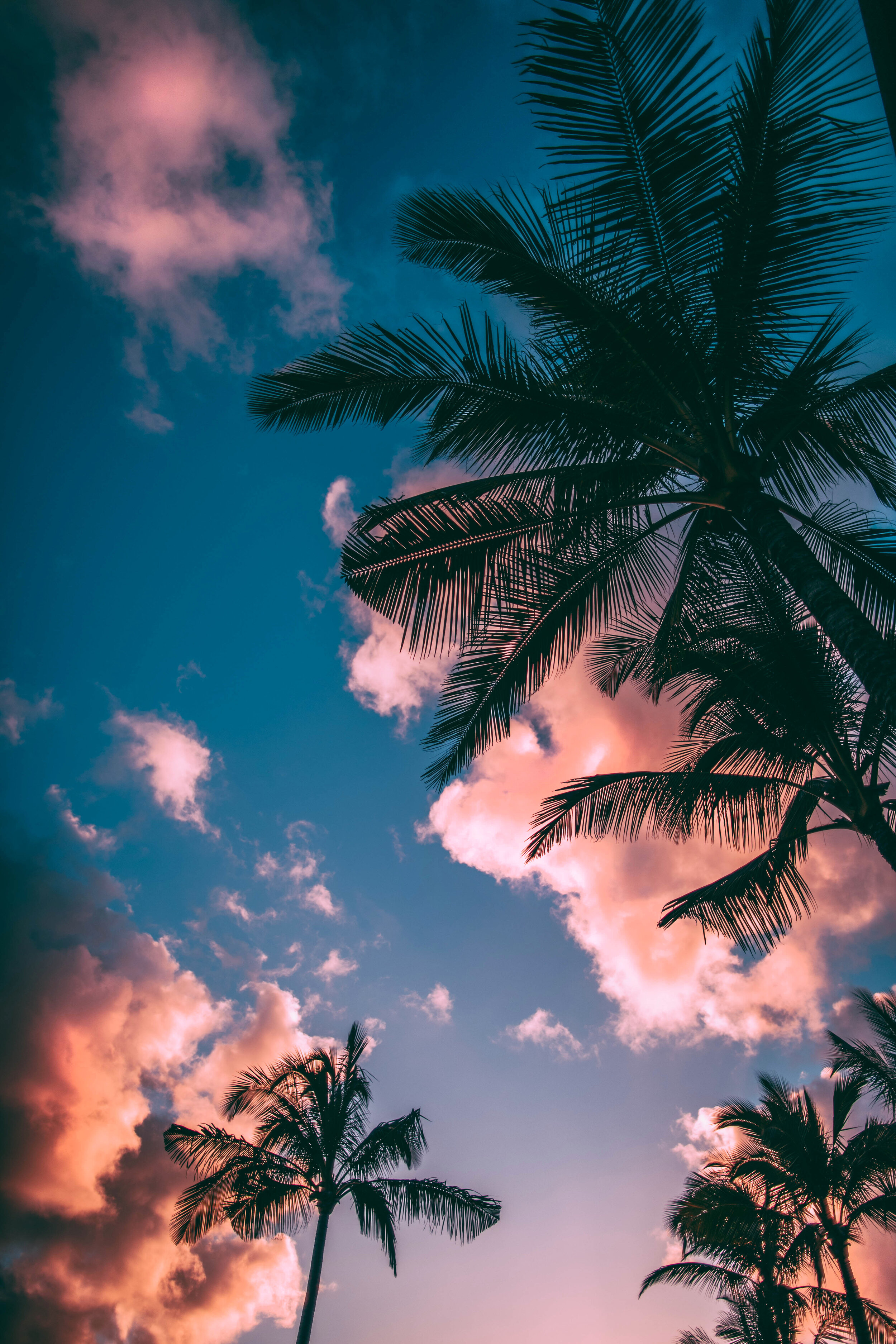 Summer Is Here