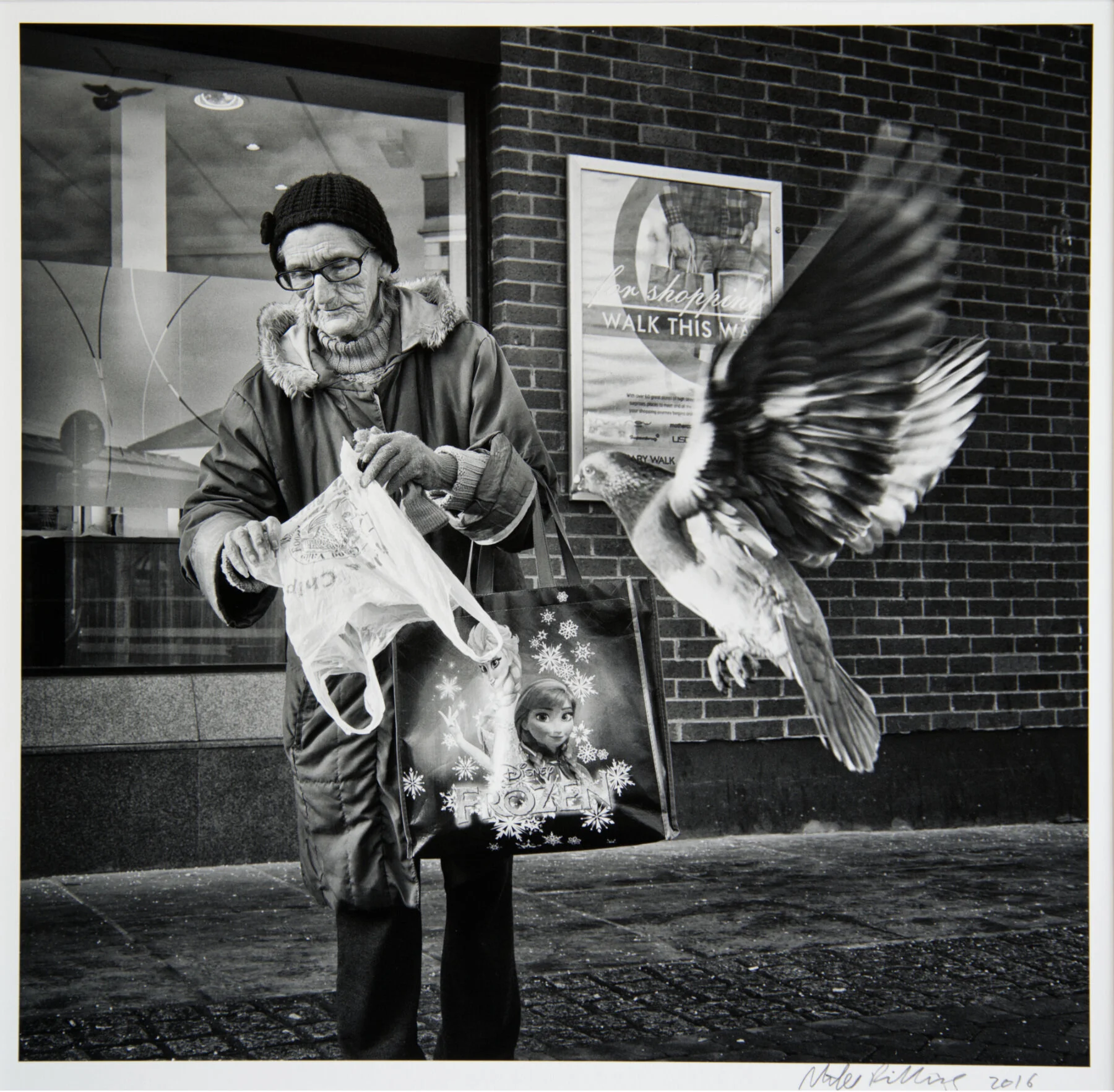 'Frozen Pigeon’ (Copy)