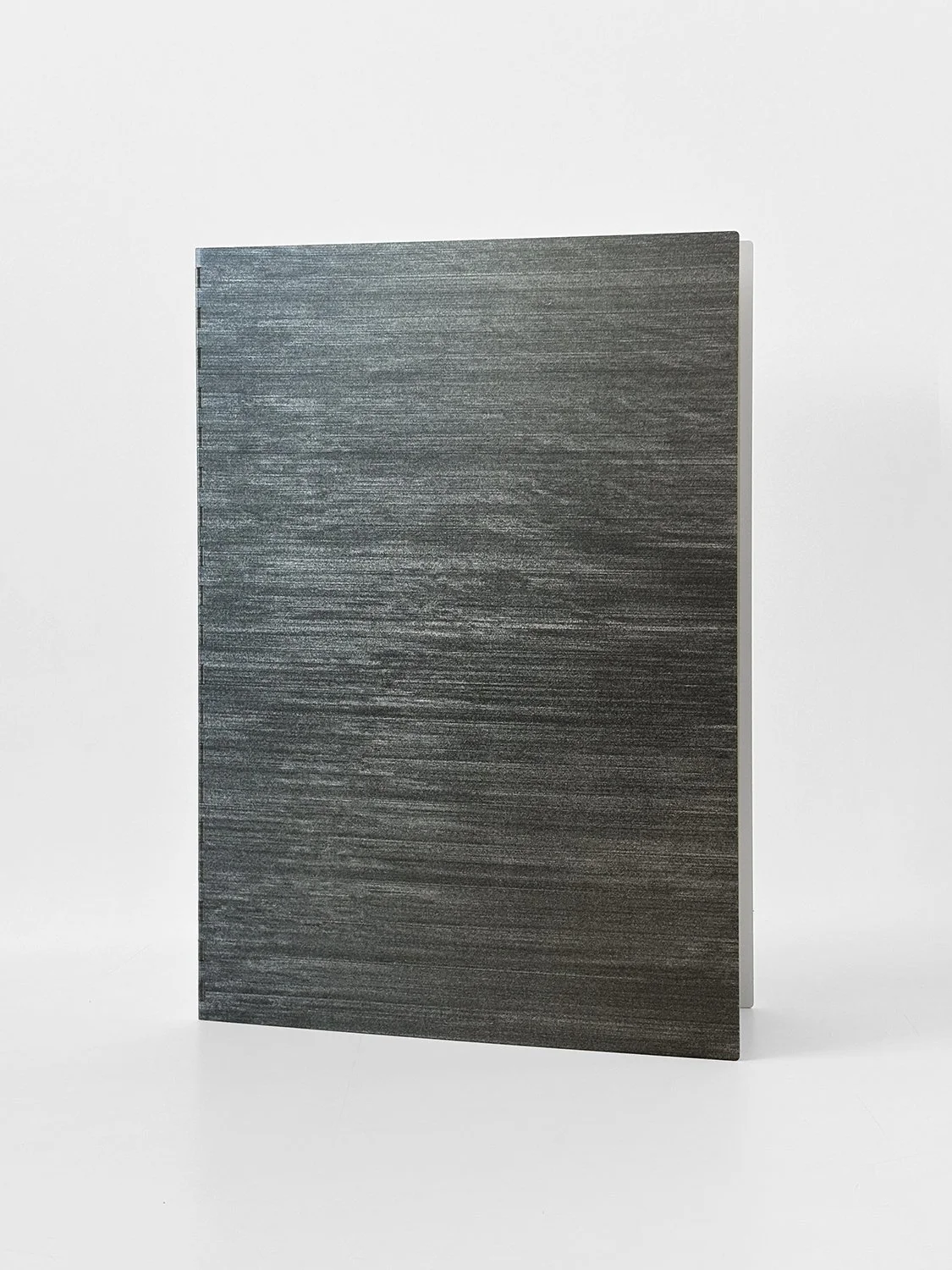 Liz Ltd Ed_cover.jpg