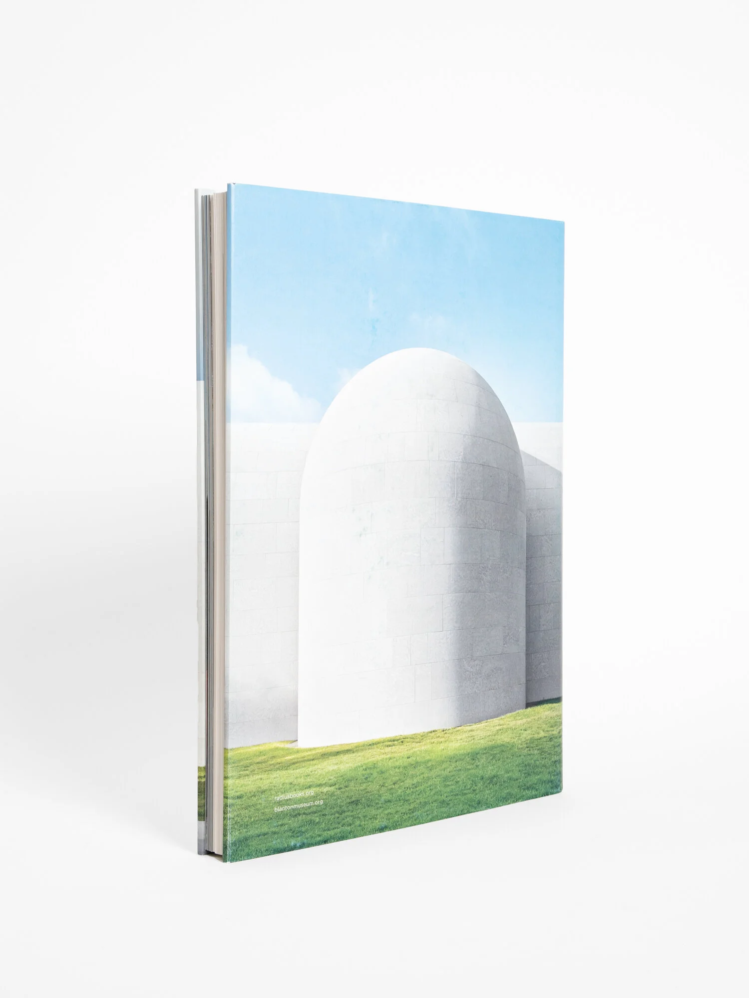 Ellsworth Kelly Austin — Radius Books