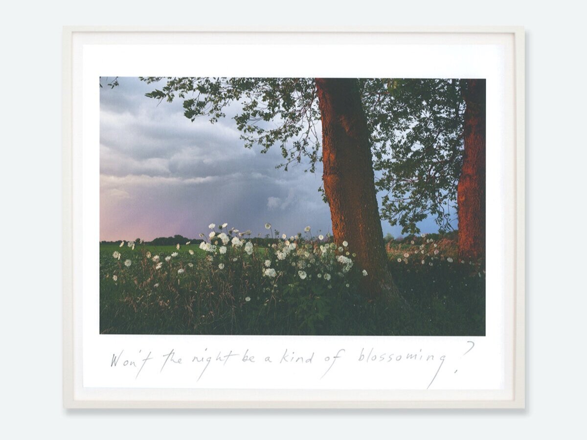 Blossoming, 2019