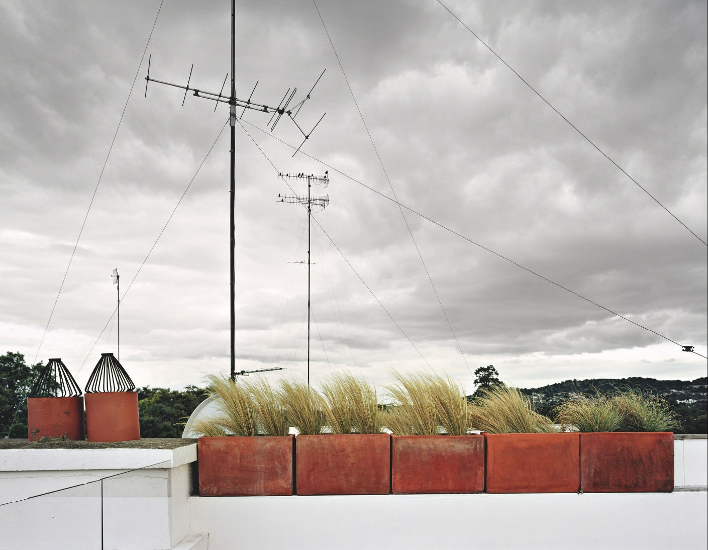 Birds (looking East), Dun Laoghrie, County Dublin, Ireland, August 2009
