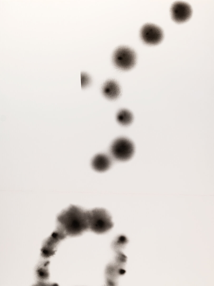 _DSF2713 (XXI).jpg