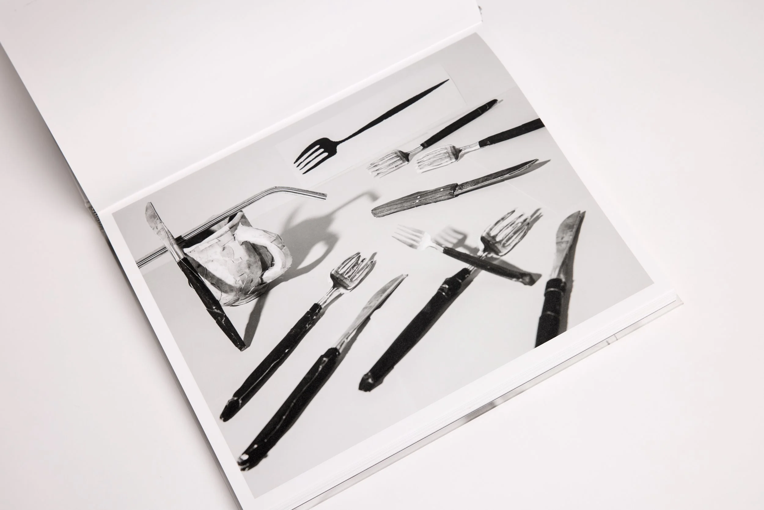 20260324 Radius 0321.jpg