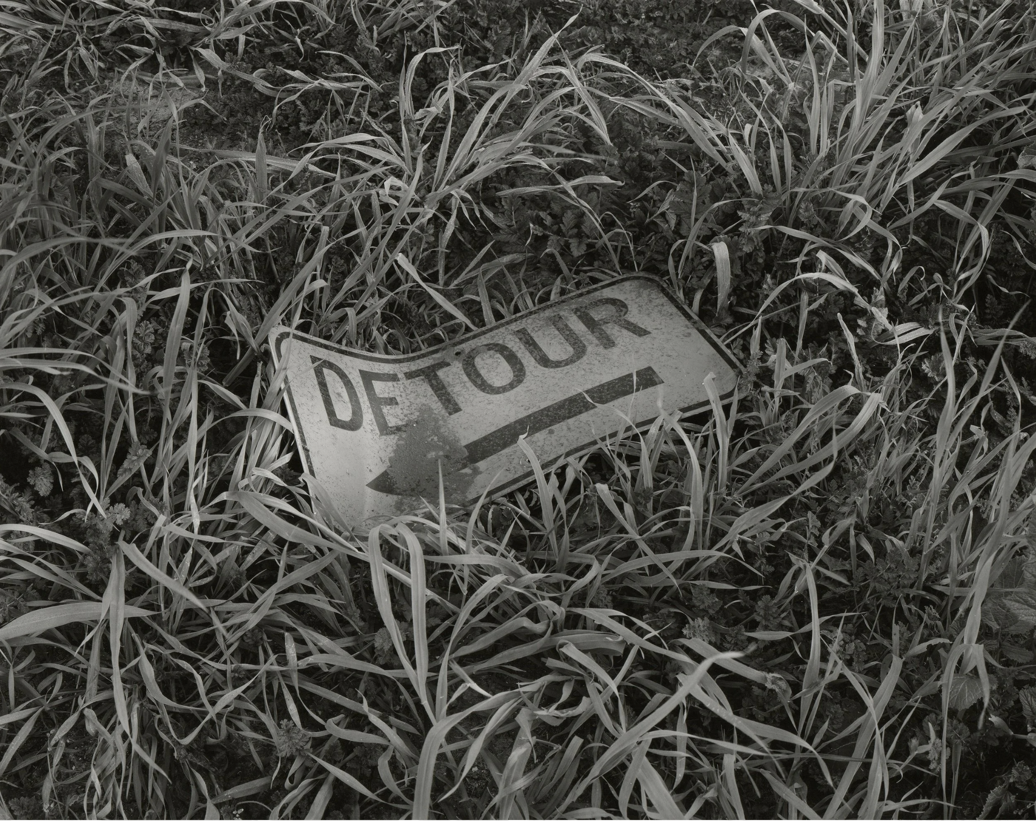 Screenshot 2025-11-05 at 3.32.42 PM.png